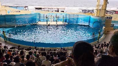 神長汐音のインスタグラム：「#新江ノ島水族館⁡ ⁡ #神奈川県」