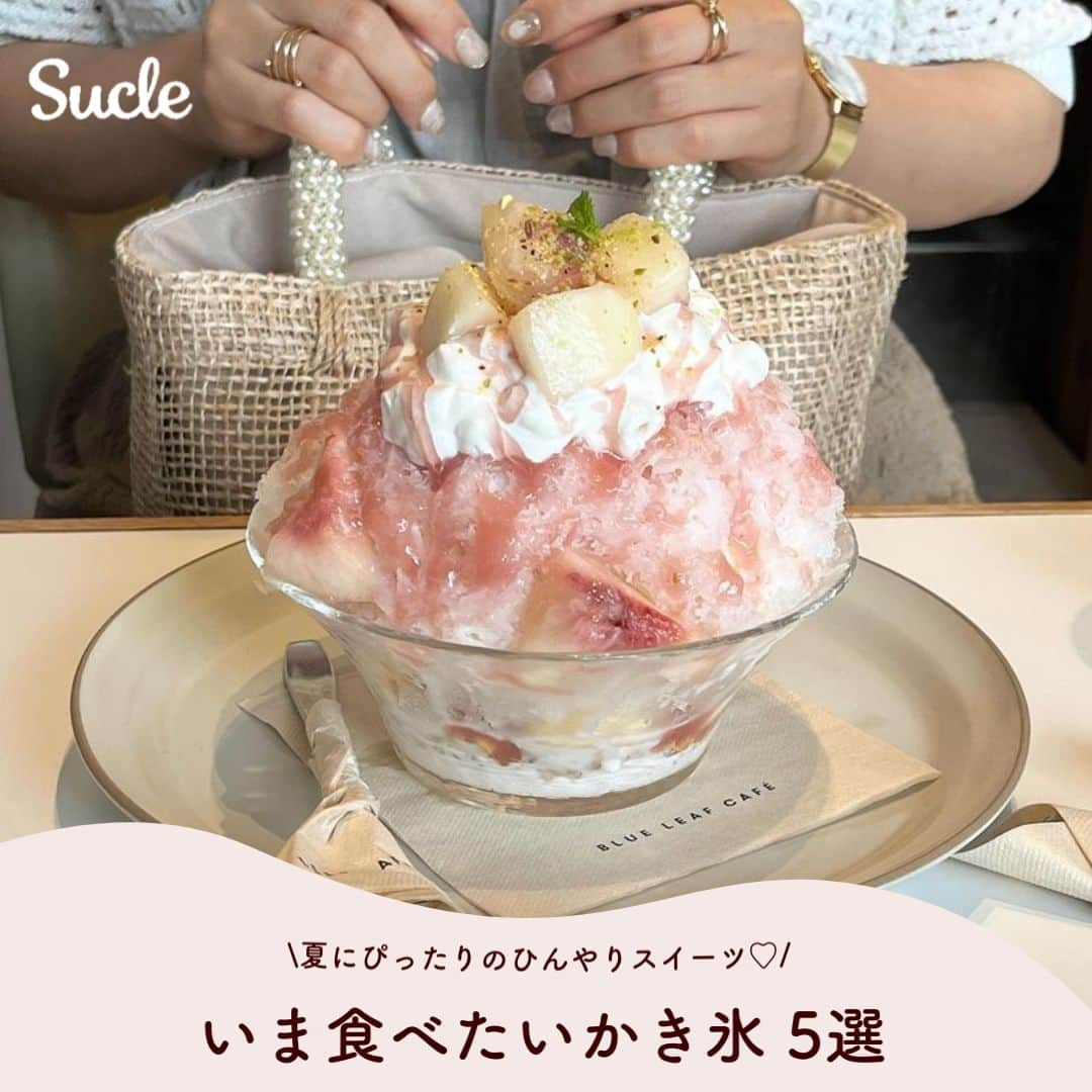 SUCLEのインスタグラム：「#いま食べたいかき氷 5選  今回はかき氷が食べられるお店をご紹介します🍧´- ぜひ夏のお出かけの参考にしてみてくださいね♡  表紙 @komomn_   2枚目 @higaemon  01. #thecookie594新大久保店 @168_cherry  📍東京都新宿区百人町1-11-22 B1F 🚉新大久保駅より徒歩約1分 🕒11:00~22:00  02. #daiyamaison @higaemon @ay___grm118  📍大阪府大阪市西区南堀江4-10-5 石村ビル2E 🚉西長堀駅より徒歩約5分 🕒14:00~20:00（月、木、金）  12:00~18:00（土日祝）  03. #blueleafcafe @___ma_4___ @komomn_  📍東京都台東区上野2-7-7 上野HSビル 🚉京成上野駅より徒歩約3分 🕒10:00~19:00  04. #vuori @garance2525 @mocimoci_0715 @chihiro_asahina  📍神奈川県鎌倉市長谷1-15-1 🚉長谷駅より徒歩約4分 🕒12:00~18:00  05. #マルニカフェ @oisiimono_darake  📍京都府京都市下京区五条通新町西入る西錺屋町25 つくるビル 2F 🚉五条駅より徒歩約5分 🕒11:30~16:00（火～土）  - - - SucleではTikTokやTwitterも更新中！ インスタには載せていない動画もオリジナルで制作しています🥣ᐝ ぜひチェックしてみてくださいね🌛´-  #かき氷 #かき氷カフェ #かき氷巡り #かき氷屋さん #東京カフェ #京都カフェ #桃スイーツ #冷んやりスイーツ #かき氷部 #鎌倉カフェ」