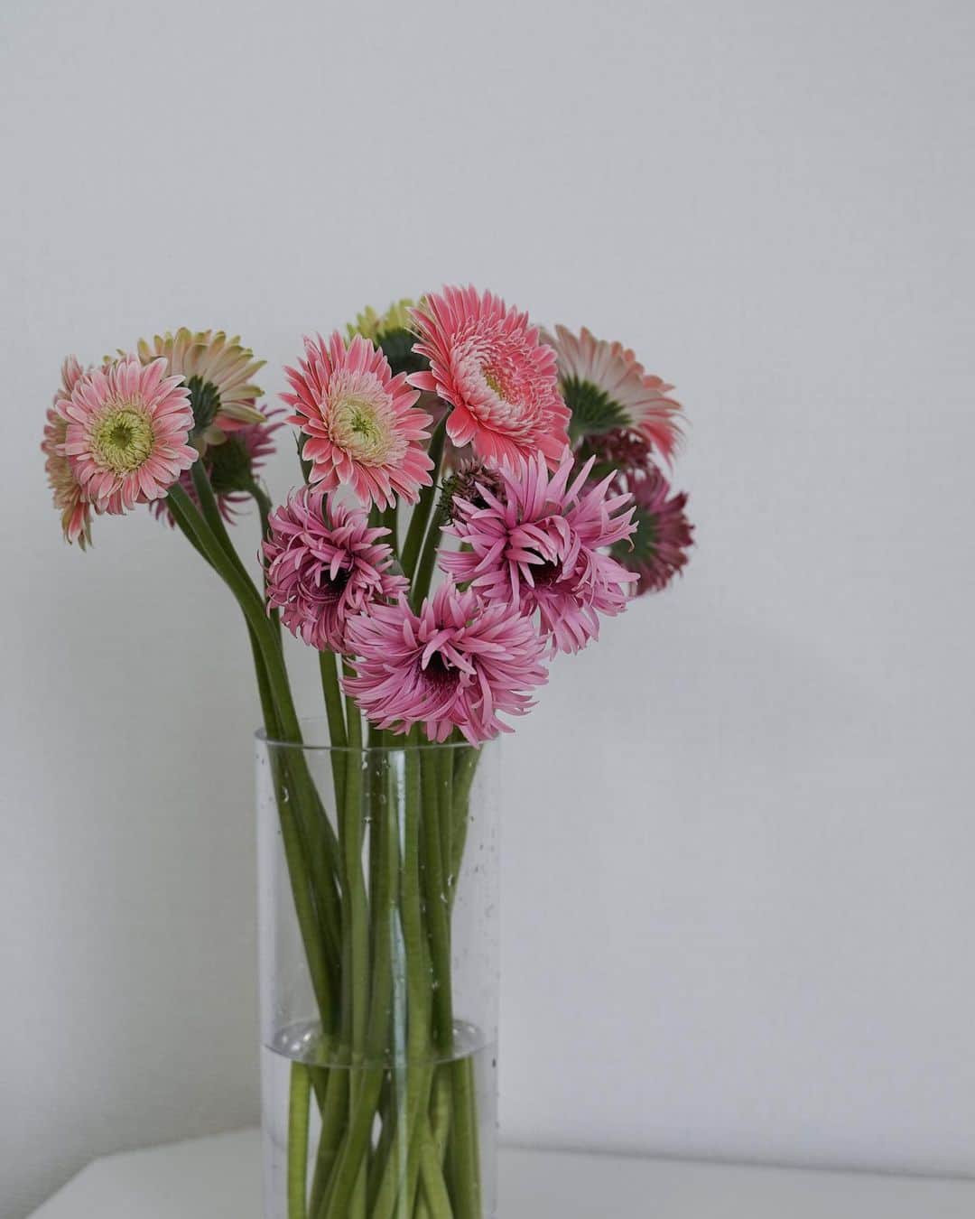 MARIEさんのインスタグラム写真 - (MARIEInstagram)「先月プチ夫婦喧嘩をした時に 夫がお花を買ってきてくれましてw そこからずっとお花を絶やさずに飾っています😊 ⁡ やっぱり家にお花があると華やかな気持ちになる✨ ⁡ お花も購入されなかった物が廃棄される問題もあるから、 エシカルなお花がいいな〜と思って ロスレスブーケを始めてみたよ！ ⁡ ⁡ @flowr_is のロスレスブーケはオンラインで 限定数の売り切りだから花の廃棄を生まない仕組みで 手に取りやすい価格なの✨ このガーベラもこんなにたっぷりで 送料込みで3100円だった！ ⁡ ⁡ 定番のお花から珍しくておしゃれなお花まであるから アプリを見ているだけで楽しくてわくわくする💐 ⁡ ⁡ クーポンコード「DFHS」を使うと 10%offで利用できるので気になる方はぜひ🤍 ⁡ ⁡ ⁡ ⁡ ⁡ #ロスレスブーケ#ロスフラワー#エシカルライフ#エシカル消費#エシカルな暮らし#お花のある暮らし#ブーケ」7月9日 12時04分 - marie.328