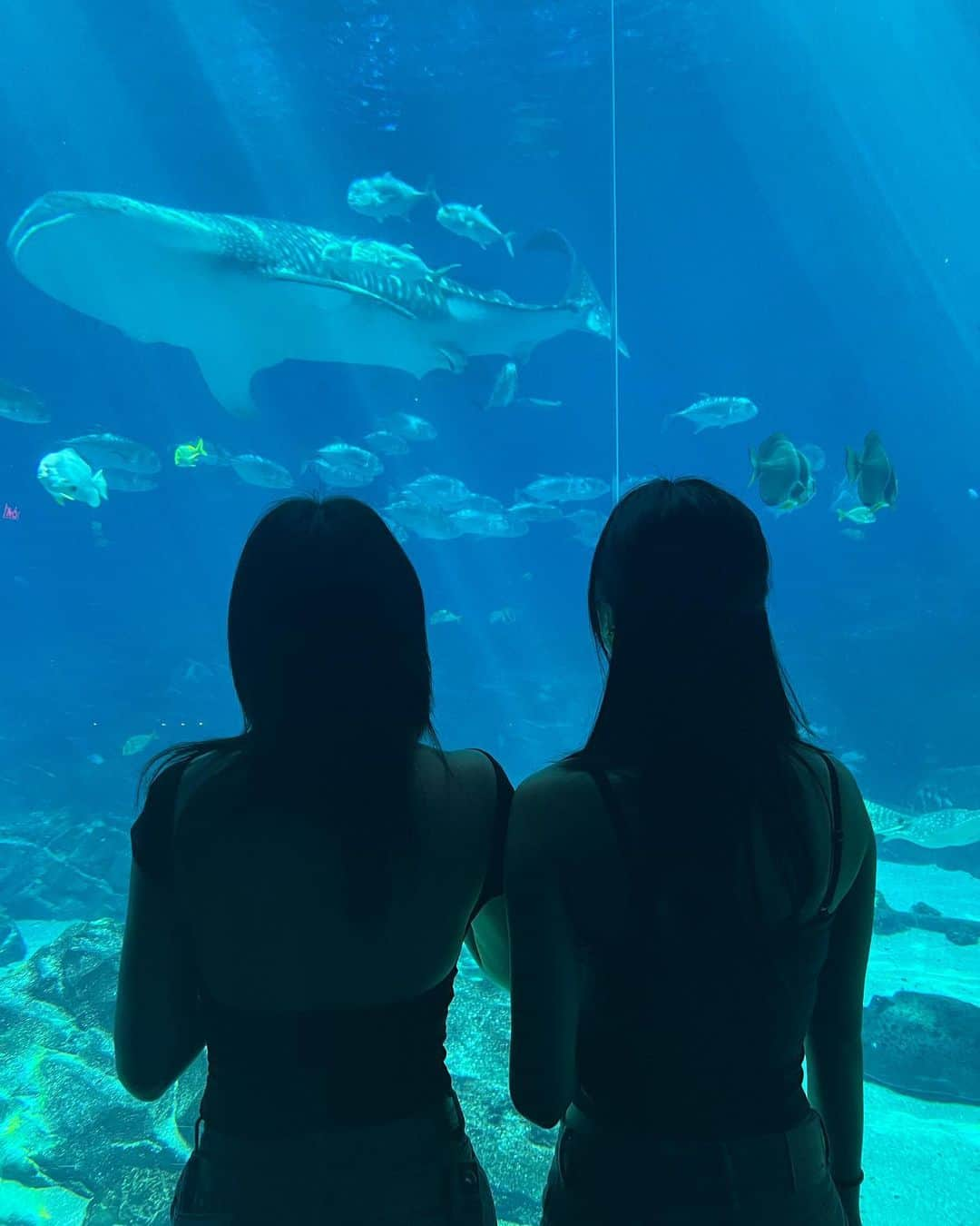 ナヨンさんのインスタグラム写真 - (ナヨンInstagram)「🐠🐟🦭🐬🐋🐳🪼」7月9日 12時16分 - nayeonyny