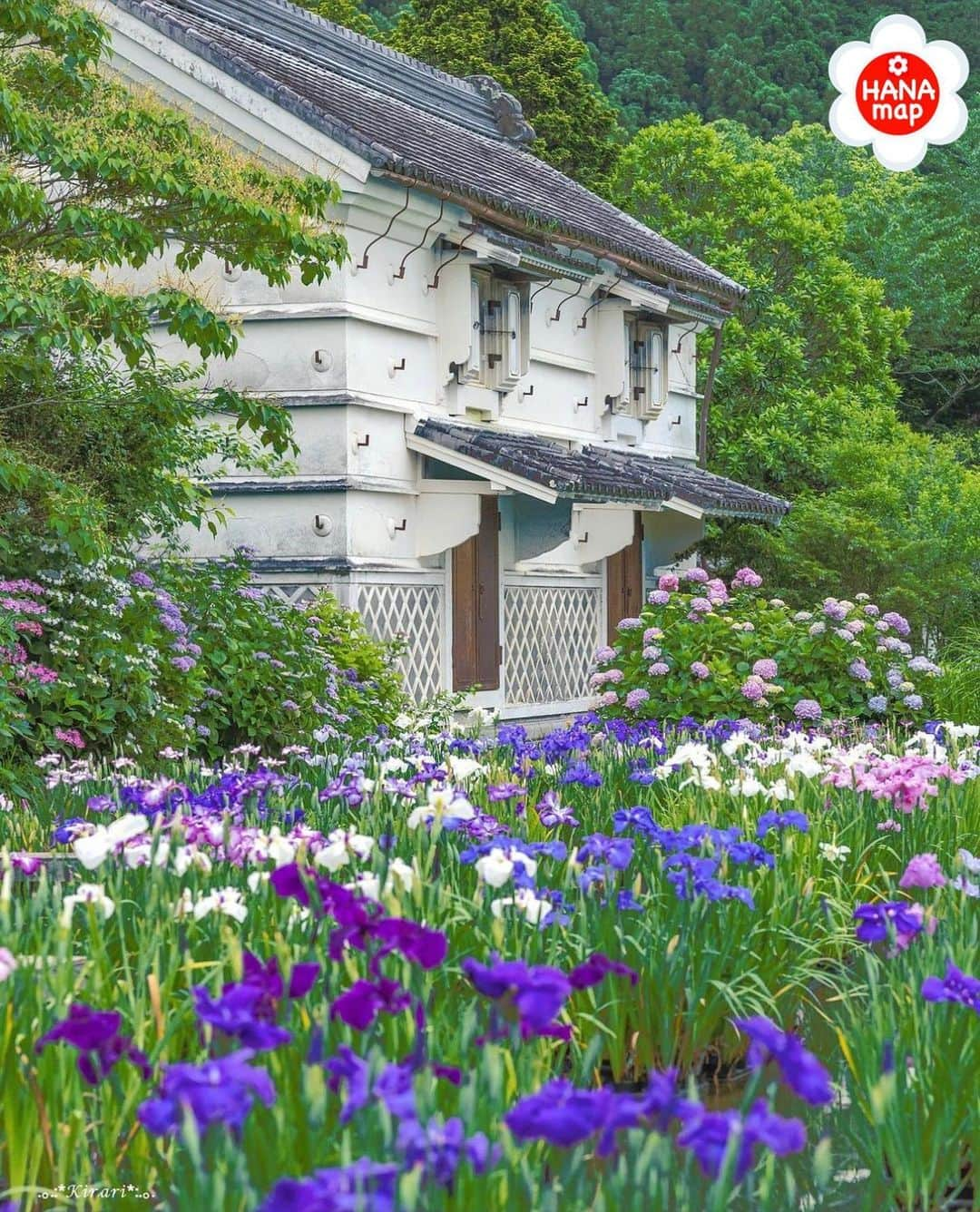 はなまっぷ❁日本の花風景のインスタグラム