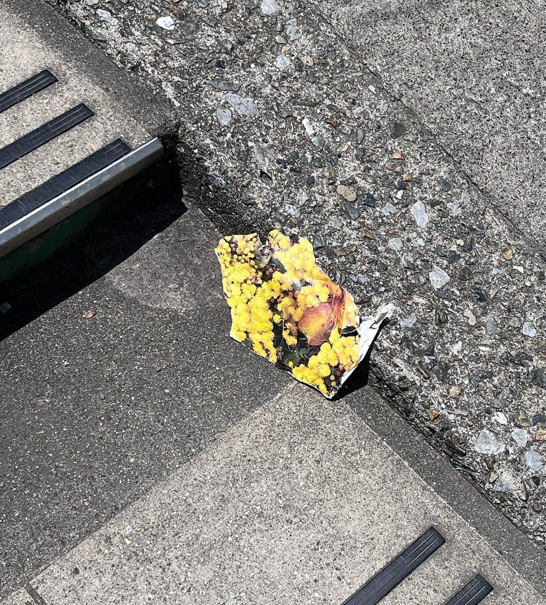 山本奈衣瑠のインスタグラム：「🌼」