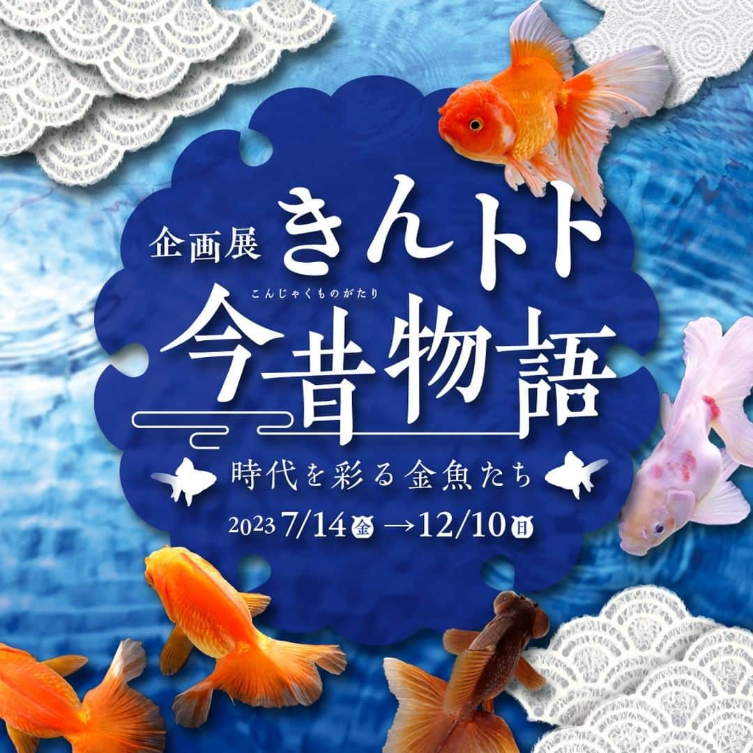 世界淡水魚園水族館 アクア・トト ぎふさんのインスタグラム写真 - (世界淡水魚園水族館 アクア・トト ぎふInstagram)「7月14日（金）からは、新しい企画展『きんトト今昔物語 ー時代を彩る金魚たちー』が始まります。  金魚は日本人にとって最も親しみのある生き物の一つ。江戸時代に飼育されていた品種から明治以降に作り出された品種、そして近年の新品種まで紹介します。 お楽しみに！  #アクアトト #水族館 #aquarium #企画展 #金魚 #きんトト #オアシスパーク #河川環境楽園」7月9日 13時09分 - aquatotto_gifu