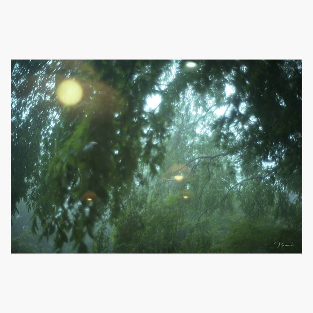 花澄さんのインスタグラム写真 - (花澄Instagram)「今日もすごい霧。 ごはんを食べながら すこし散漫な写真を撮るのもいいです。 木にうっすら灯りが点っているよう。  Leica M10-P summilux 35mm f1.4 2nd  #leica#leicam10p#summilux#summilux35#summilux35mm2nd#oldlens#オールドレンズ#tokyo#japan#oldlens_tokyo#花澄#kazumiphotography」7月9日 13時23分 - textisan