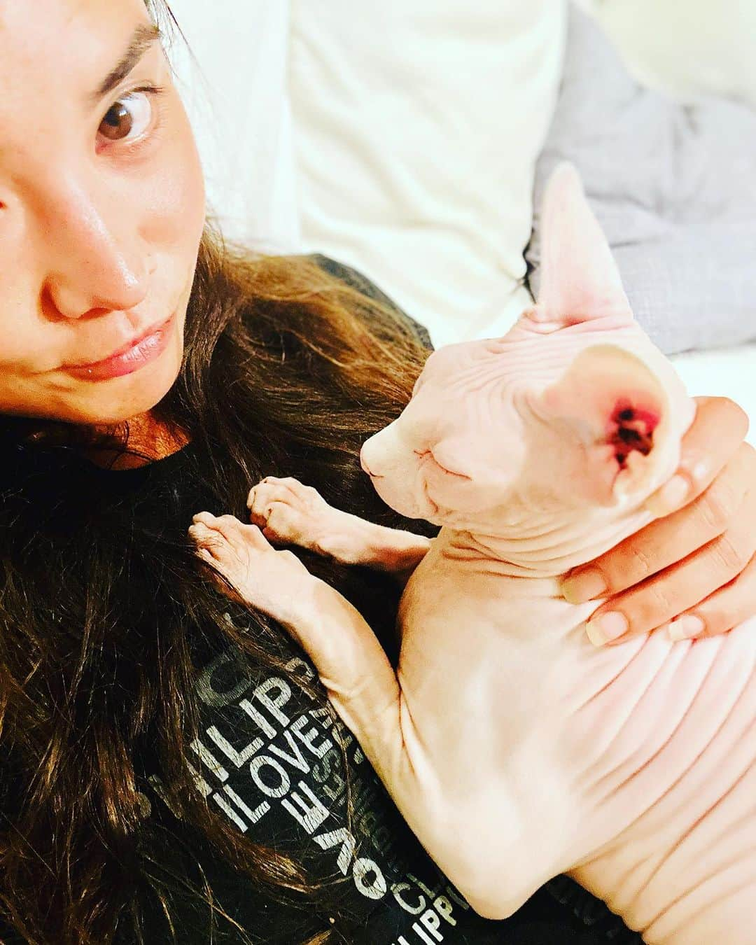 加賀美セイラさんのインスタグラム写真 - (加賀美セイラInstagram)「#SphynxCat おもろいゎーペットシッター 妖怪みたいだけど、お高い猫様。仲良くなりました😂 I got this interesting offer to take care of this ET cat👽. #ExpensiveCat #ItsPureArt アーティスティック過ぎてビビる　どんどん人気なペットシッターになって行ってる自分にビビる😂　#LovePetSitting. Cheers!!」7月9日 13時37分 - serakagami