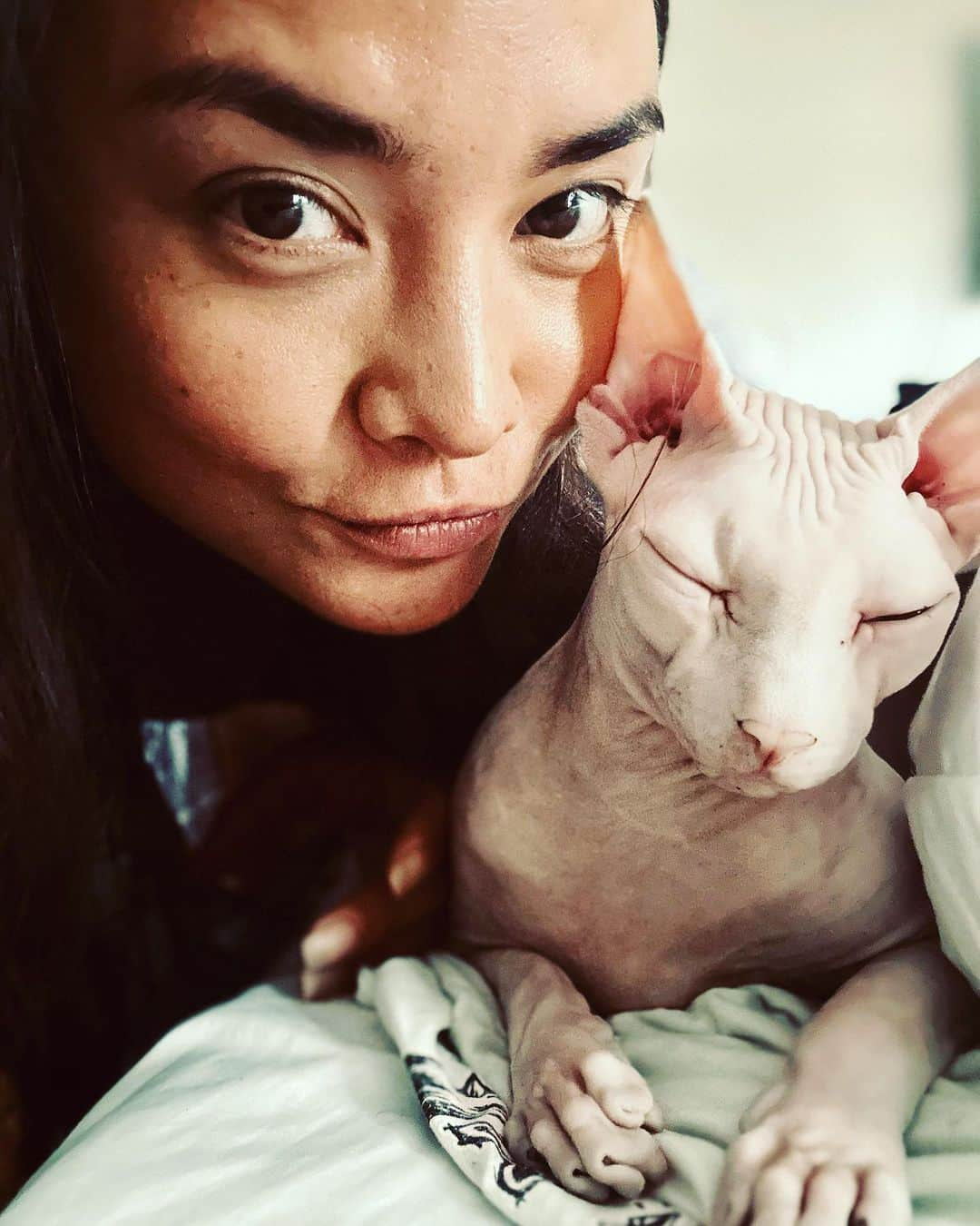 加賀美セイラさんのインスタグラム写真 - (加賀美セイラInstagram)「#SphynxCat おもろいゎーペットシッター 妖怪みたいだけど、お高い猫様。仲良くなりました😂 I got this interesting offer to take care of this ET cat👽. #ExpensiveCat #ItsPureArt アーティスティック過ぎてビビる　どんどん人気なペットシッターになって行ってる自分にビビる😂　#LovePetSitting. Cheers!!」7月9日 13時37分 - serakagami