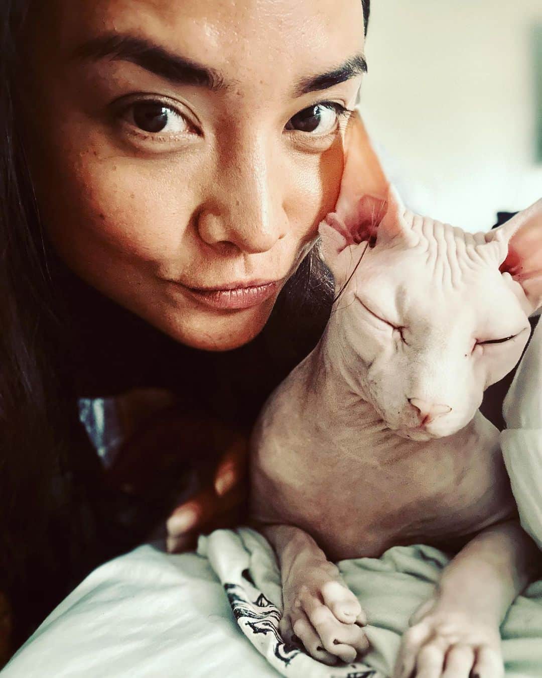 加賀美セイラのインスタグラム：「#SphynxCat おもろいゎーペットシッター 妖怪みたいだけど、お高い猫様。仲良くなりました😂 I got this interesting offer to take care of this ET cat👽. #ExpensiveCat #ItsPureArt アーティスティック過ぎてビビる　どんどん人気なペットシッターになって行ってる自分にビビる😂　#LovePetSitting. Cheers!!」