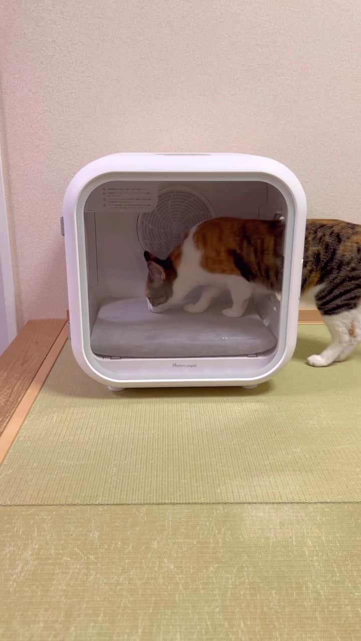 金太のインスタグラム