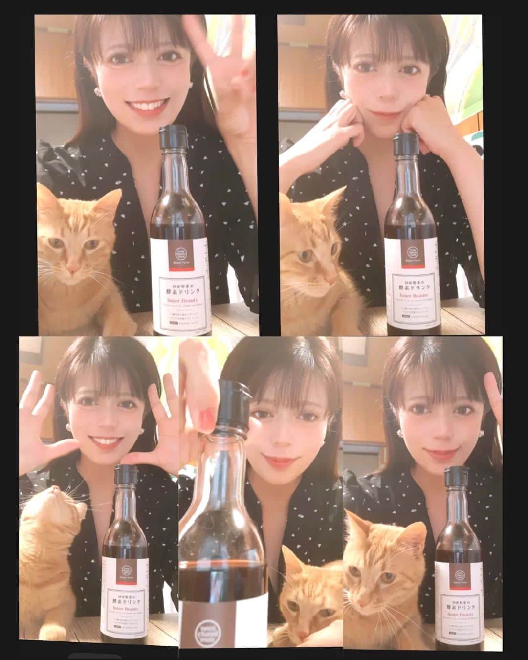 友利愛美のインスタグラム：「♥🍒🐈🦙🥛🍒♥  茶トラの男の子たぁちゃんも興味津々♥🐈  めちゃ美味しい国産野菜の酵素ドリンク♥  ザクロ果汁入りで最高♥ 豆乳割りでいただきました🐈♥  ♥Beauty farmsのInner beauty♥  74種の旬な恵みを詰め込んでるよー😆  国産を使用した無添加の酵素ドリンク🙆  美味しいから続けやすい〜👏👏👏  『ザクロ』に含まれるエラグ酸（ポリフェノールの一種）には、長寿遺伝子である「サーチュイン遺伝子」を活性化させる効果が期待できると言われてるんだって😍  健康と美容に♥♥♥♥ 腸活、置き換えダイエットにも♥♥♥  ほんとおいしいよーーーん😻  PR @beautyfarms.jp  #通販酵素ドリンク #ファスティング #置き換えダイエット #ザクロ #ポリフェノール #酵素 #ダイエット #エラグ酸 #猫#cat#ねこのいる暮らし#親バカ部#茶トラ」