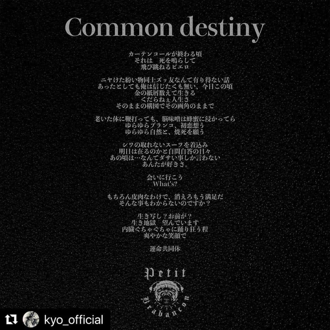 ミヤ のインスタグラム：「#Repost @kyo_official #PetitBrabancon #Automata #Commondestiny」