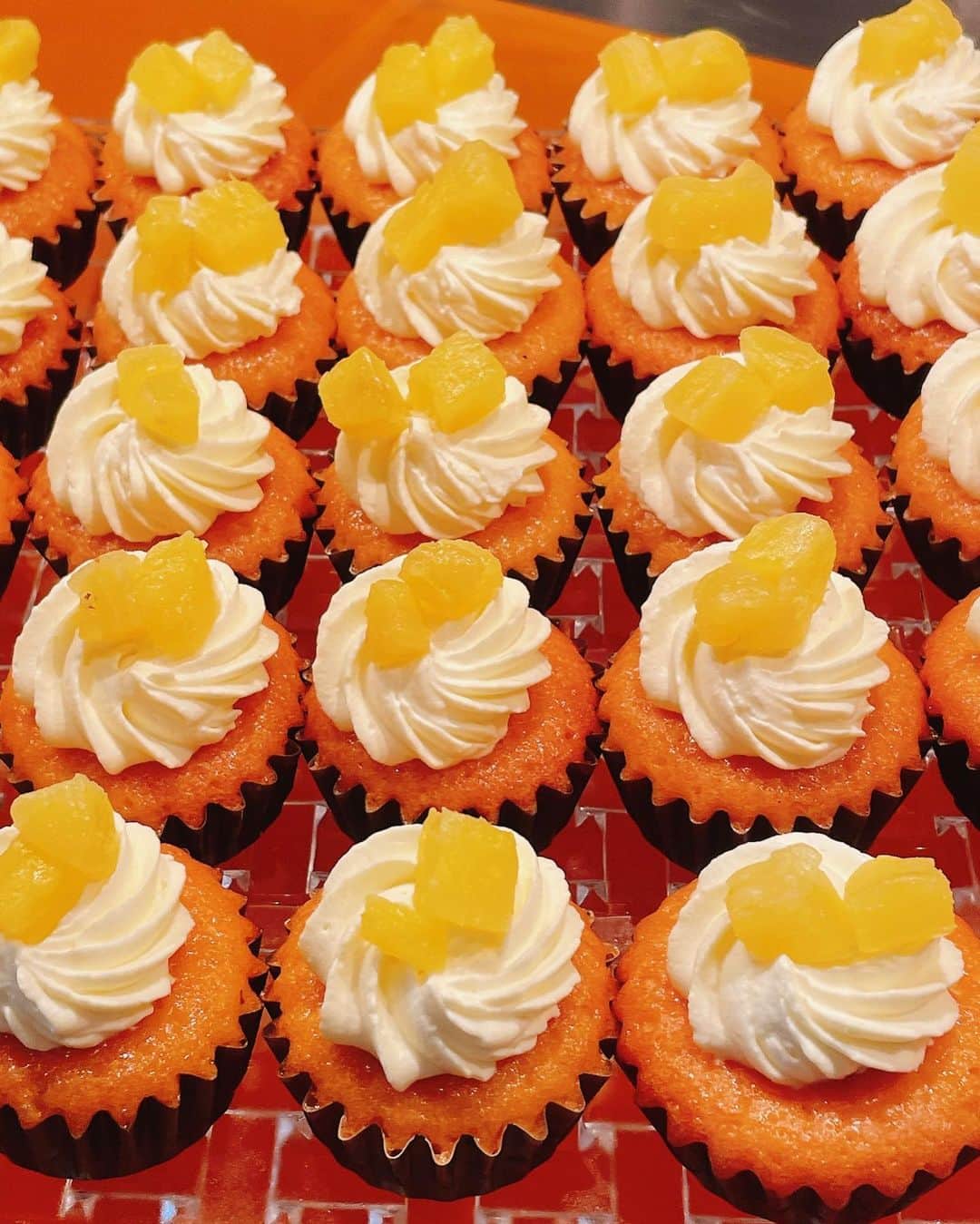 スパイスを効かせた鶏の胸肉とドライアプリコットのレシピ