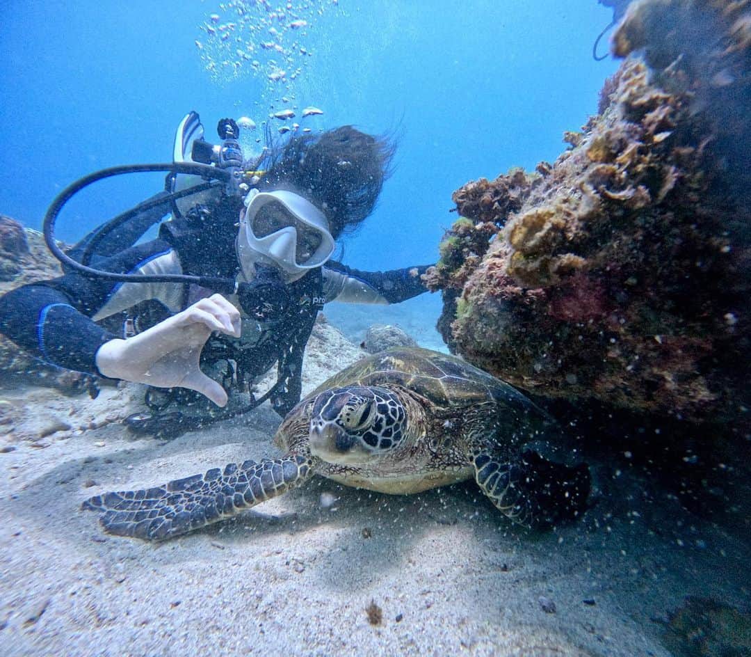 陳伊のインスタグラム：「嗨👋🏻 🐢🐢 考了open water後超久沒潛的啦 追在海龜後面時 海龜直接拉了兩條超大超美的💩 那個畫面實在是太amazing  有機會你們一定要看看 真的太震撼了  深潛🤿/ @little_turtle_snorkel  📷/ @wonderpeggy  小琉球行程/ @chu__0510 @kmababygood」