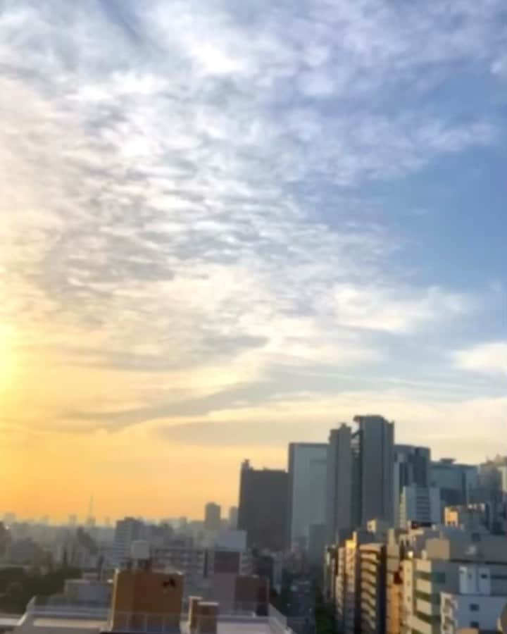 イマイアキノブのインスタグラム：「𖣐 わたしのひとまわり」