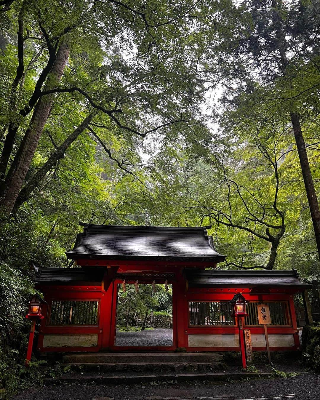 鳥越裕貴さんのインスタグラム写真 - (鳥越裕貴Instagram)「⛩️ #貴船 #貴船神社 #旅館 #ふじや #年に一度貴船でリフレッシュしたい #みんなも是非行ってみてほしい #舞台挨拶は浴衣で登壇しましたよい」7月9日 17時12分 - yuki_torigoe.cleftchin