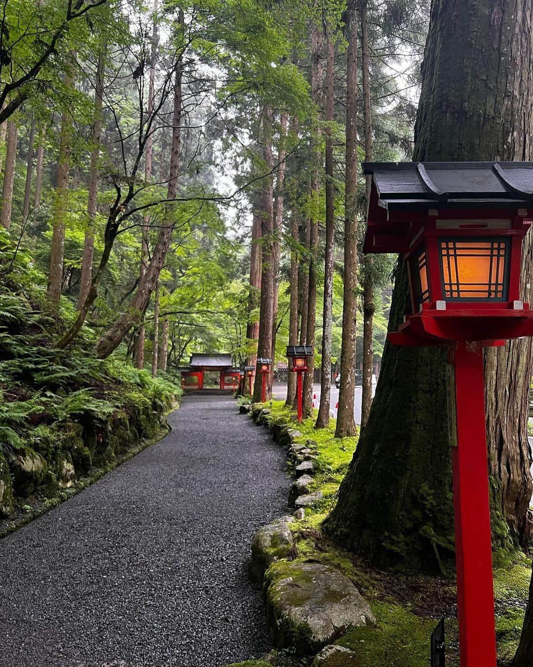 鳥越裕貴さんのインスタグラム写真 - (鳥越裕貴Instagram)「⛩️ #貴船 #貴船神社 #旅館 #ふじや #年に一度貴船でリフレッシュしたい #みんなも是非行ってみてほしい #舞台挨拶は浴衣で登壇しましたよい」7月9日 17時12分 - yuki_torigoe.cleftchin