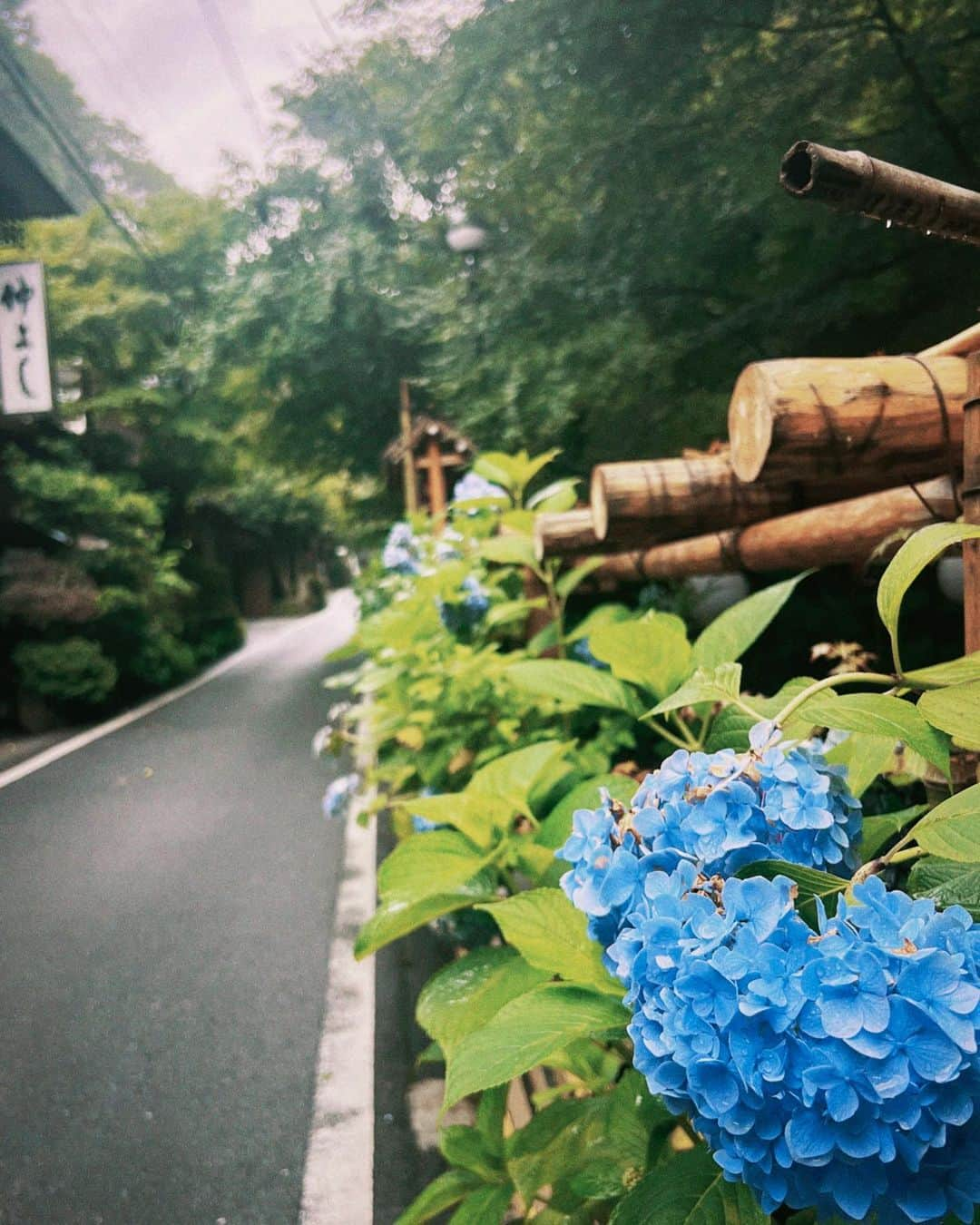 鳥越裕貴さんのインスタグラム写真 - (鳥越裕貴Instagram)「⛩️ #貴船 #貴船神社 #旅館 #ふじや #年に一度貴船でリフレッシュしたい #みんなも是非行ってみてほしい #舞台挨拶は浴衣で登壇しましたよい」7月9日 17時12分 - yuki_torigoe.cleftchin