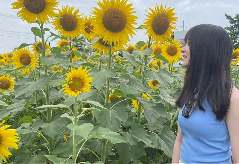 三浦理奈さんのインスタグラム写真 - (三浦理奈Instagram)「🌻」7月9日 17時20分 - rina.miura.official