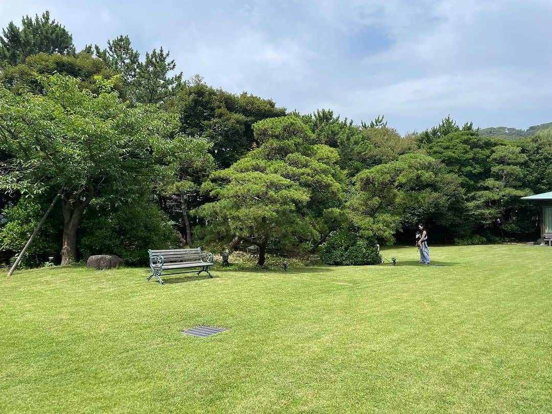 柏木作夢のグルメインスタ