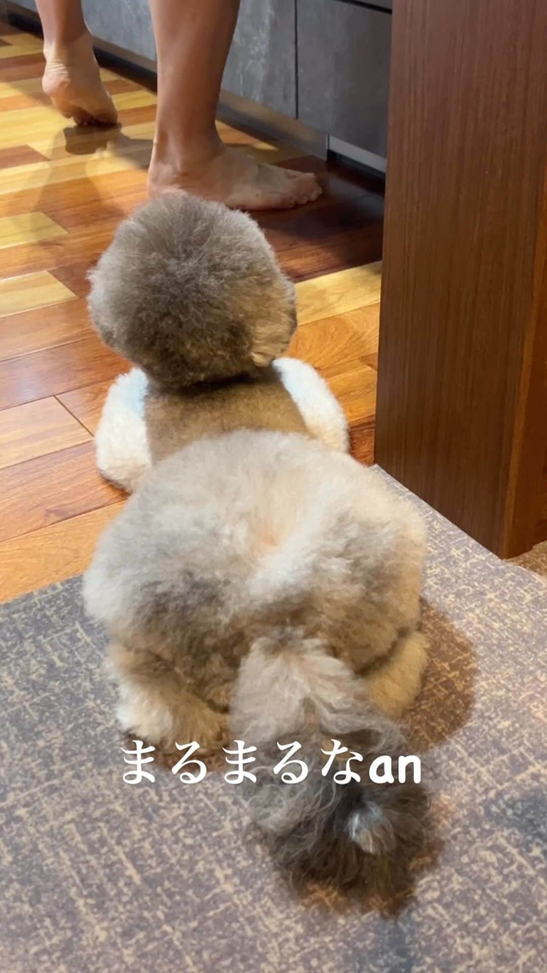 のインスタグラム