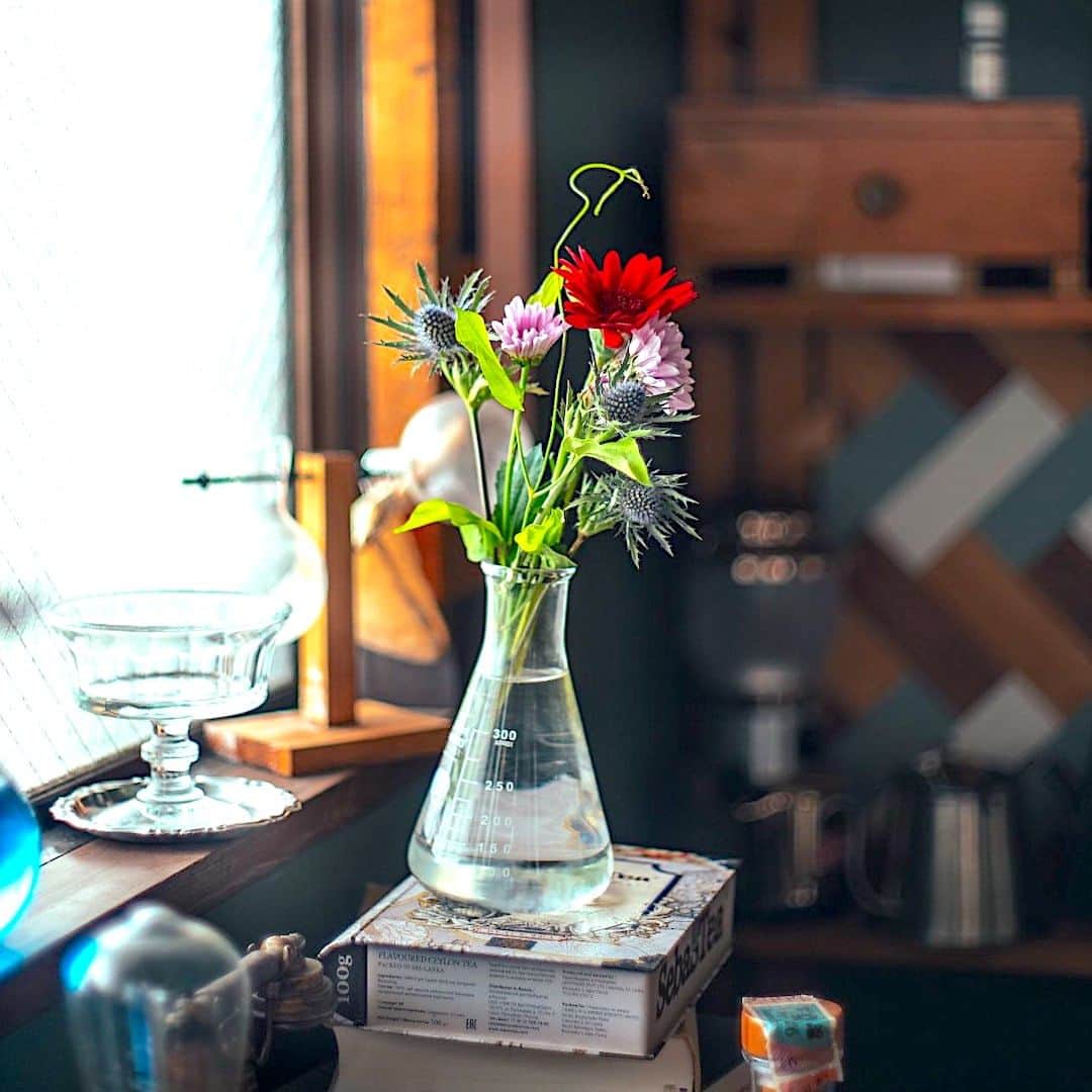 Bloomee LIFEさんのインスタグラム写真 - (Bloomee LIFEInstagram)「三角フラスコにお花を飾った 素敵なアイデア💐  さりげなく飾れて お部屋をおしゃれに彩ってくれます♪  お花があるだけで 心地よい時間を過ごせそう🍀  kazoo1984kazuno さんのお写真  #bloomee#ブルーミー#お花の定期便#癒し時間#サブスク#花のある生活#花好きな人と繋がりたい#花写真#花が好き#花を飾る#丁寧な暮らし#お花のある暮らし#暮らしを整える#おうち時間#インテリア」7月9日 18時00分 - bloomee