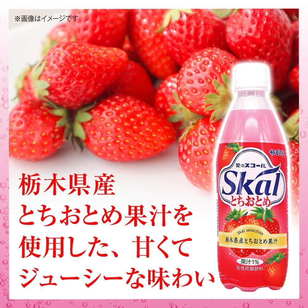 ダイソーさんのインスタグラム写真 - (ダイソーInstagram)「＼飲んでみたいと思った人は🍓でコメントしてね／  『スコール』にとちおとめフレーバーが登場！ 甘くてジューシーな酸味を抑えた味わいは お子様から大人まで楽しめる一品です。 しゅわしゅわっと爽やかなドリンクです🍓  ---------- ＜商品詳細＞ 〇南日本酪農協同　スコールとちおとめ　５００ｍｌ　100円（税込108円） 〈JANコード：4902986555252〉 ----------  ※店舗によって品揃えが異なり、在庫がない場合がございます ※商品パッケージの説明文を読んで正しくご使用ください ※画像はイメージです。実際とは異なる場合がございます  ＼だんぜん！ダイソー／ 毎日の暮らしを豊かにするダイソー商品はこちらからチェック👀 ▷▷ @daiso_official  #ダイソー #daiso #daisojapan #100yenshop #100均 #100均パトロール #dairy #愛のスコール #スコール #限定フレーバー #とちおとめ #いちご #乳性炭酸飲料 #国産果汁 #やさしい #甘み #ジューシー」7月9日 18時00分 - daiso_official