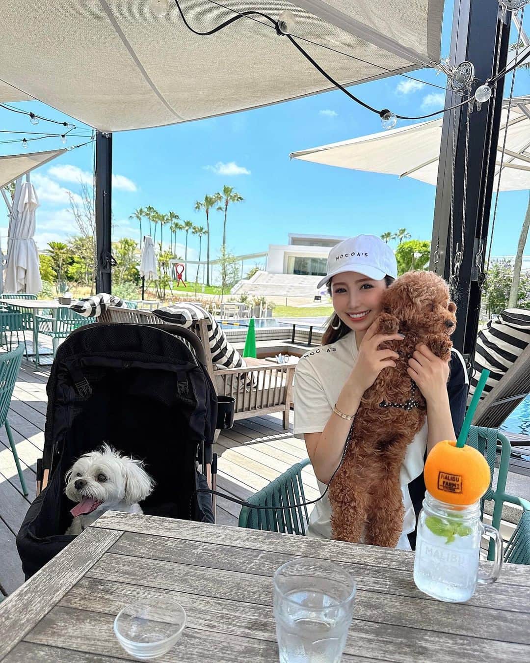 桃華絵里のグルメインスタ