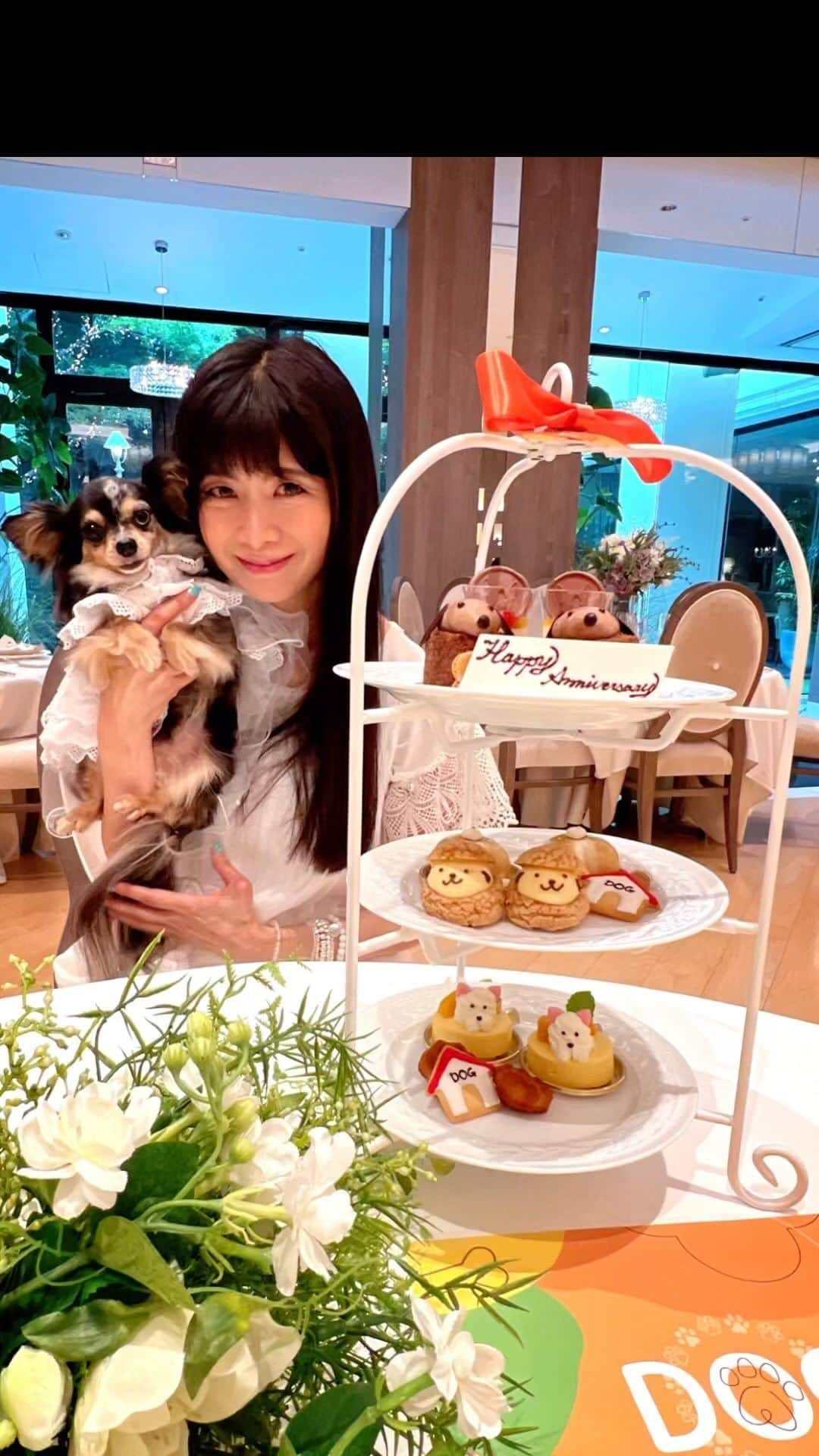 外村美姫のインスタグラム：「結婚式場「アプローズスクエア 東京迎賓館」で開催中の、わんダフル・グランピングアフタヌーンティーに伺いました。愛犬と一緒に楽しめる、わんちゃんモチーフのキュートなアフタヌーンティー期間限定開催!!7月～8月の9日間限定開催です。  お友達の志保ちゃん＆リアム君と。 アフタヌーンティ3段トレイ。スイーツスタンドには、ダックスフント、コーギー、ボストンテリア、マルチーズ、シュナウザーモチーフのスイーツが!!結婚記念日だったので、アニバーサリープレートを準備して下さってて、もうもう感動の嵐！  マンゴーなどのサマーフルーツを使った爽やかなスイーツや、肉球フィナンシェ等もあって、美味しくって可愛いが大渋滞の満足感高いお料理。  わんちゃん用ケーキ＆ホットドッグはオプションですが、一緒にお揃いのメニューが楽しめるのも嬉しいね。わんこと一緒に至福の時間を満喫。  会場内はフォトジェニックな場所がたくさん。撮影映えする会場なので、たくさん想い出の写真を撮りたい。わんこは会場内を歩く事も出来るなんて夢のよう。結婚式場なので、ティファニーさんもドレスアップ！  新宿・曙橋「アプローズスクエア 東京迎賓館」。披露宴会場「グランメゾン」の大きな窓から緑豊かなガーデンを眺めながら…。  アプローズスクエア 東京迎賓館 わんダフル・グランピングアフタヌーンティー ～大好きなあの子とお出かけする一日をイメージして～  2023年7月1日（土）・2日（日）・9日（日）・17日（月・祝）、8月11日（金祝）・12日（土）・13日（日）・20日（日）・27日（日）※要予約 開催時間：1部12:30～14:00（受付12:15～）／2部15:00～16:30（受付14:45～） ※開催日、開催時間の詳細は公式ホームページで※ 詳細は @applause.square.tokyo_wedding   #外村美姫 #犬との生活 #犬のいる生活 #わんことお出かけ #ドッグカフェ #チワックスティファニー #ティファニーと朝食を #dogcafe #犬OK #愛犬 #親子コーデ #チワックス #カフェ #アフタヌーンティー #アフタヌーンティーセット #グランピング #afternoontea #sweets #アプローズスクエア #東京迎賓館  #結婚式場 #ウエディング #新宿 #wedding #weddinghall #dog #犬ケーキ #結婚式」