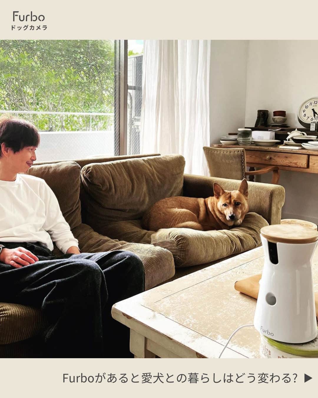 のインスタグラム：「想像してみてください…… 外出中でも、愛犬のあらゆる動きを捉えて、 いつでも一緒にいるように感じられる日々を✨  それが、Furboが愛犬家の皆さまに提供する体験です☺️    ⋯     年に一度のビッグセールが近づいています😆✨  お値段はなんと今年最安値！🌟  今○○○○○をすると、 Furboカメラ本体が ˗ˏˋ 11,000円OFFに!! ˎˊ˗   まずはプロフィールで 必須アクションをチェックして! 🐕💨  ⇨ @furbo_japan      ⋯     Special Thanks 💛 to … @takanobu_koba @shiba_uni hanayuri34   #Furbo #ファーボ #ファーボは見た #ドッグカメラ #ペットカメラ #見守りカメラ #お留守番カメラ #犬すたぐらむ #わんすたぐらむ #犬好きさんと繋がりたい #犬のいる暮らし #犬との生活 #犬グッズ #ペットグッズ #ペット用品 #ペット家電 #セール」