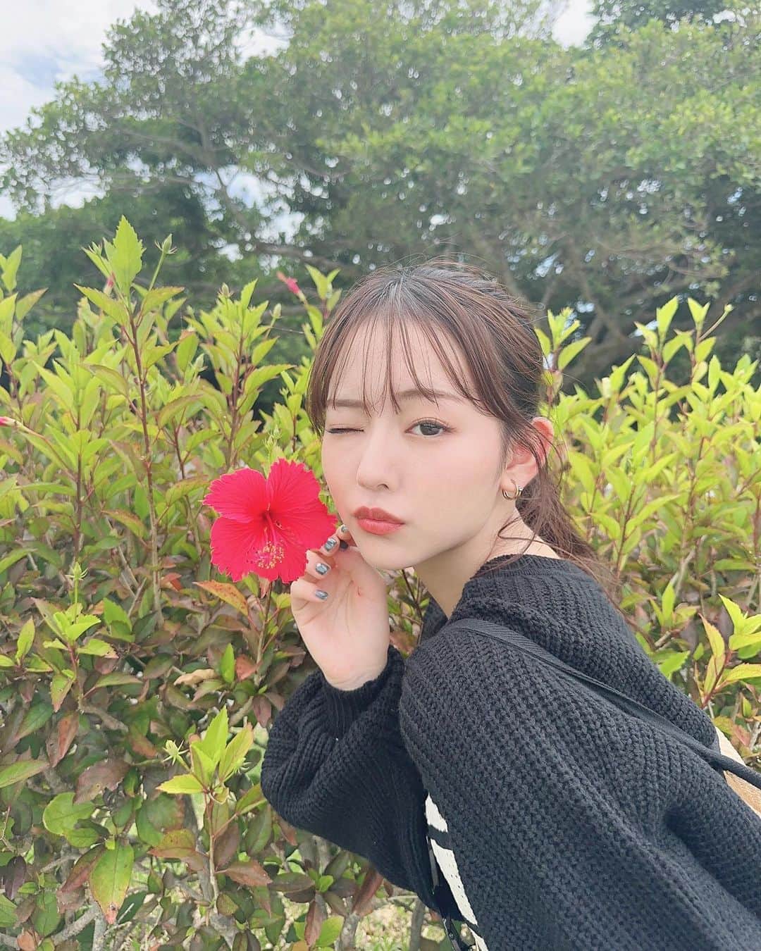 河野まひるのインスタグラム：「沖縄にはいろんな色のハイビスカスが咲いてて可愛かった🫶🏻」