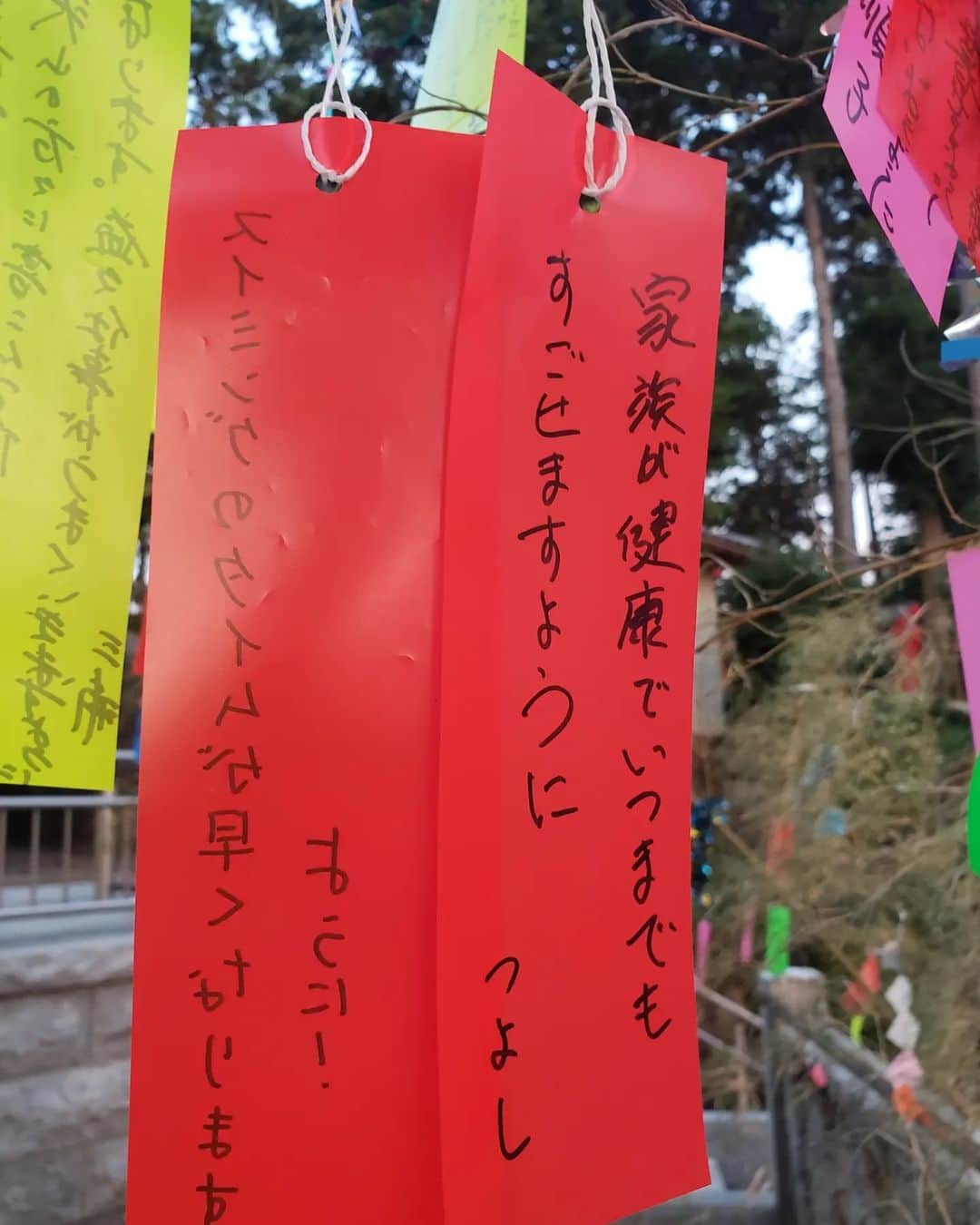 鏑木毅さんのインスタグラム写真 - (鏑木毅Instagram)「富士山へ行く予定でしたが大気の状態が不安定なため取り止め。近所の神社で娘と2日遅れの七夕祭り。 願い事はたくさんありますが、結局この願いに尽きるかな。早く脚が治って自由に走り回りたいです。 #七夕 #トレイルランニング #trailrunning #tsuyoshikaburaki #tnfjp #鏑木毅 #アスタビータースポーツ #gontex #娘と休日 #七夕飾り」7月9日 19時24分 - tsuyoshikaburaki