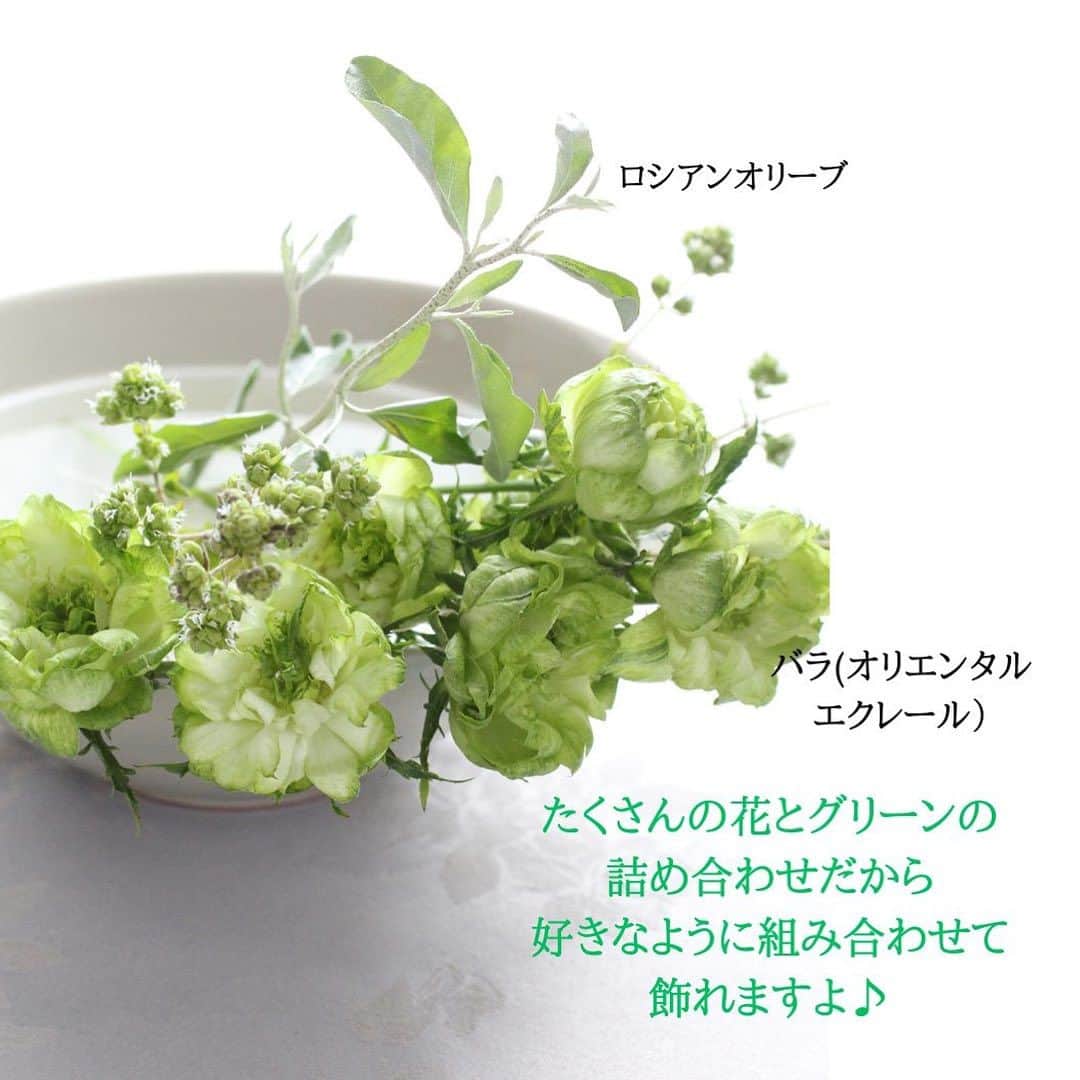 雑誌『花時間』さんのインスタグラム写真 - (雑誌『花時間』Instagram)「緑色のお花やグリーンに癒やされませんか？  花時間（@hanajikan_magazine）です。  こう暑いと、お花を飾る気は失せてしまいそう？  それは、もったいないですよ。  緑色の花やグリーンには、溜め込んだストレスを軽減するチカラがあるんです。  森や野原をイメージさせ、心身はリフレッシュ🌿  定期便と違い、1回だけのオーダーが可能なのもポイントです。  ご自分用はもちろん、友人の誕生日やお中元としても利用できますよ🎵  今週には梅雨明け？　グリーンブーケは、毎週月曜の夜9時にオーダー締め切りです。  ご検討されていたら、お早めに🏃🏃🏃‍♀️  では、本日もお疲れさまでした🍉　今週も元気smile😊😊😊で頑張りましょう！ byピーターパン  【花時間ニュース】 💜『花時間』から、花の定期便がスタートしました🥰　世界でここだけのバラと旬花が届く嬉しいサービスです💕  💜『花時間2023春夏』〈春のピンク！夏のブルー！〉大好評発売中！  💜『花と短歌でめぐる 二十四節気 花のこよみ』大好評発売中  すべて @hanajikan_magazine のプロフィールのリンクから飛べます✈️  『花時間』本誌や書籍は全国の書店、ネット書店でも発売中✨  #花時間 #グリーンブーケ #緑色の花 #ヒーリング #癒やしの時間 #リフレッシュ #フラワーアレンジ #花が好き #花が好きな人と繋がりたい #花を飾る #花を飾る生活 #花屋さんへ行こう」7月9日 19時29分 - hanajikan_magazine