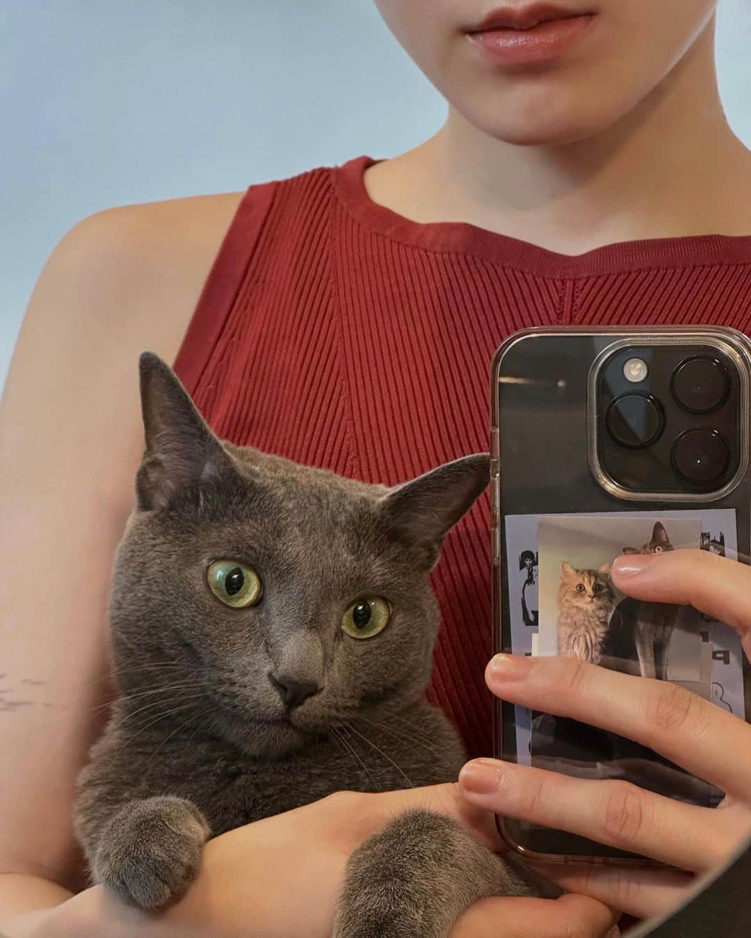 のインスタグラム：「🥣水分を多く摂ってほしくて、最近ウェットフードを始めたグレンとリタ。食べるのがまだ苦手で、お箸で一粒ずつあげてるんだけど一生懸命食べる姿が毎日可愛いです」