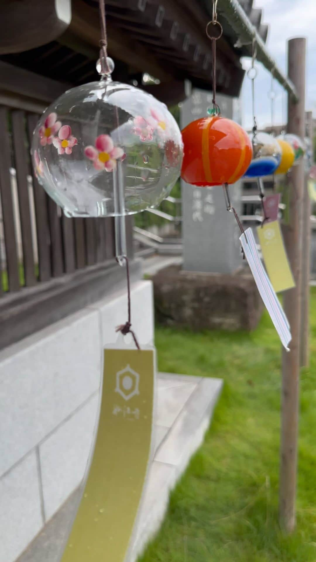 松村太郎のインスタグラム：「#Summer in #Japan #風鈴 #🎐 #WindChime」