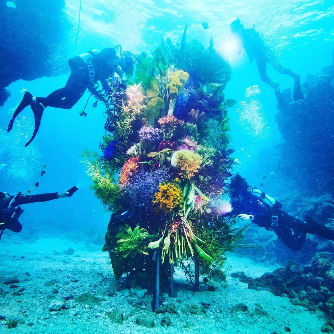 東信さんのインスタグラム写真 - (東信Instagram)「Botanical sculpture × In Bloom project - Sea #3  #azumamakoto #shiinokishunsuke #amkk #botanicalsculpture #inbloom  #sea  #flowerart #東信 #東信花樹研究所 #unexpectedscenery」7月9日 19時54分 - azumamakoto