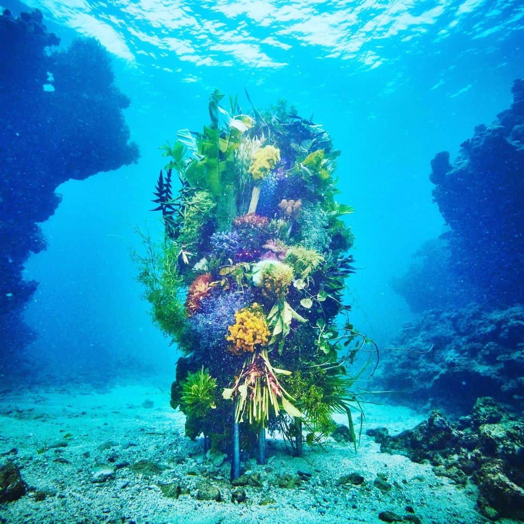 東信さんのインスタグラム写真 - (東信Instagram)「Botanical sculpture × In Bloom project - Sea #3  #azumamakoto #shiinokishunsuke #amkk #botanicalsculpture #inbloom  #sea  #flowerart #東信 #東信花樹研究所 #unexpectedscenery」7月9日 19時54分 - azumamakoto