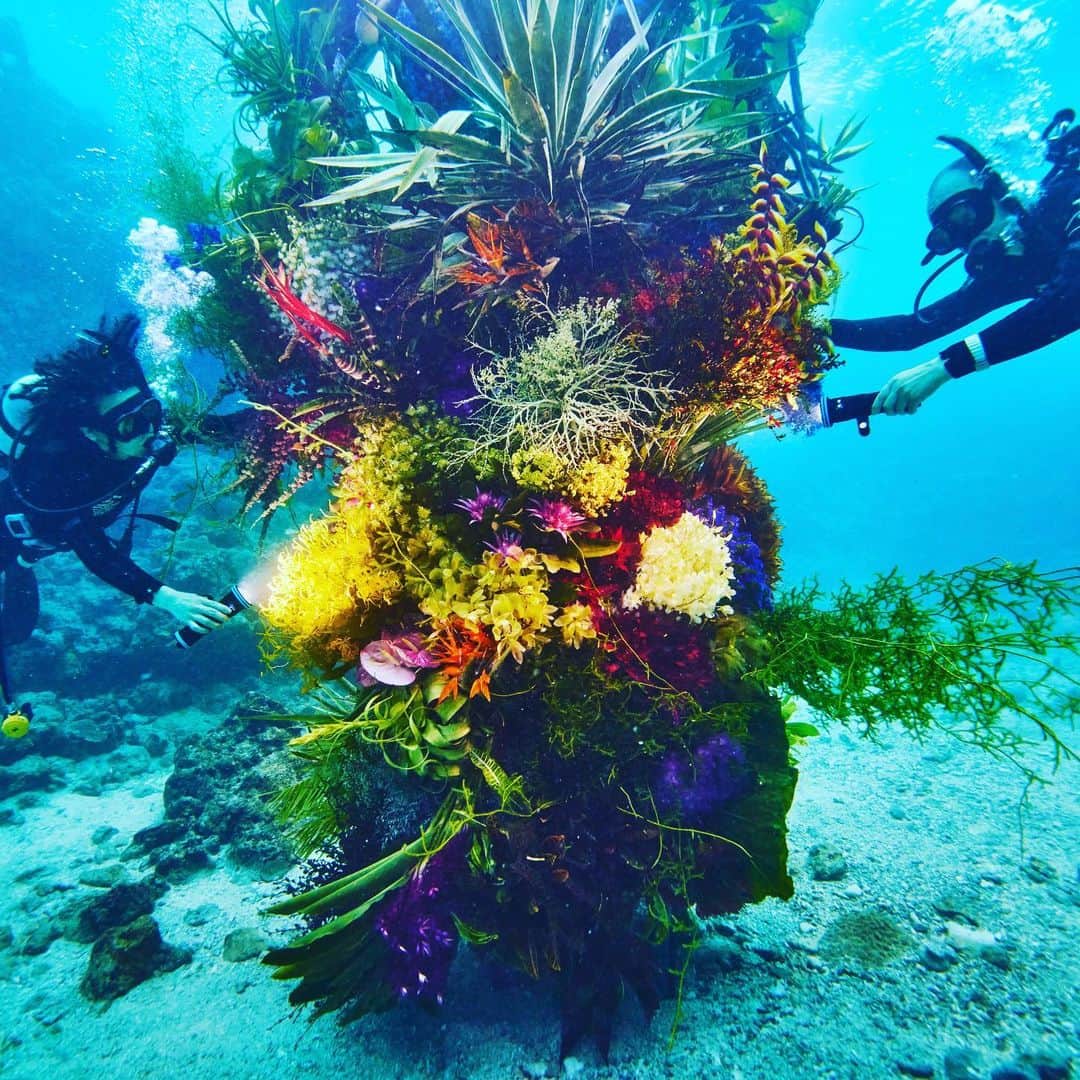 東信さんのインスタグラム写真 - (東信Instagram)「Botanical sculpture × In Bloom project - Sea #3  #azumamakoto #shiinokishunsuke #amkk #botanicalsculpture #inbloom  #sea  #flowerart #東信 #東信花樹研究所 #unexpectedscenery」7月9日 19時54分 - azumamakoto