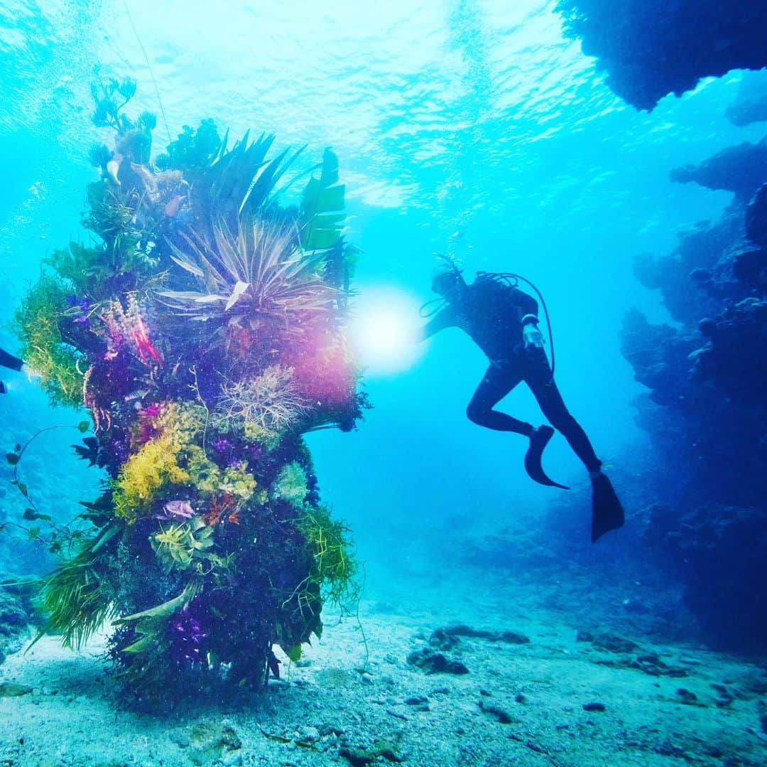 東信さんのインスタグラム写真 - (東信Instagram)「Botanical sculpture × In Bloom project - Sea #3  #azumamakoto #shiinokishunsuke #amkk #botanicalsculpture #inbloom  #sea  #flowerart #東信 #東信花樹研究所 #unexpectedscenery」7月9日 19時54分 - azumamakoto