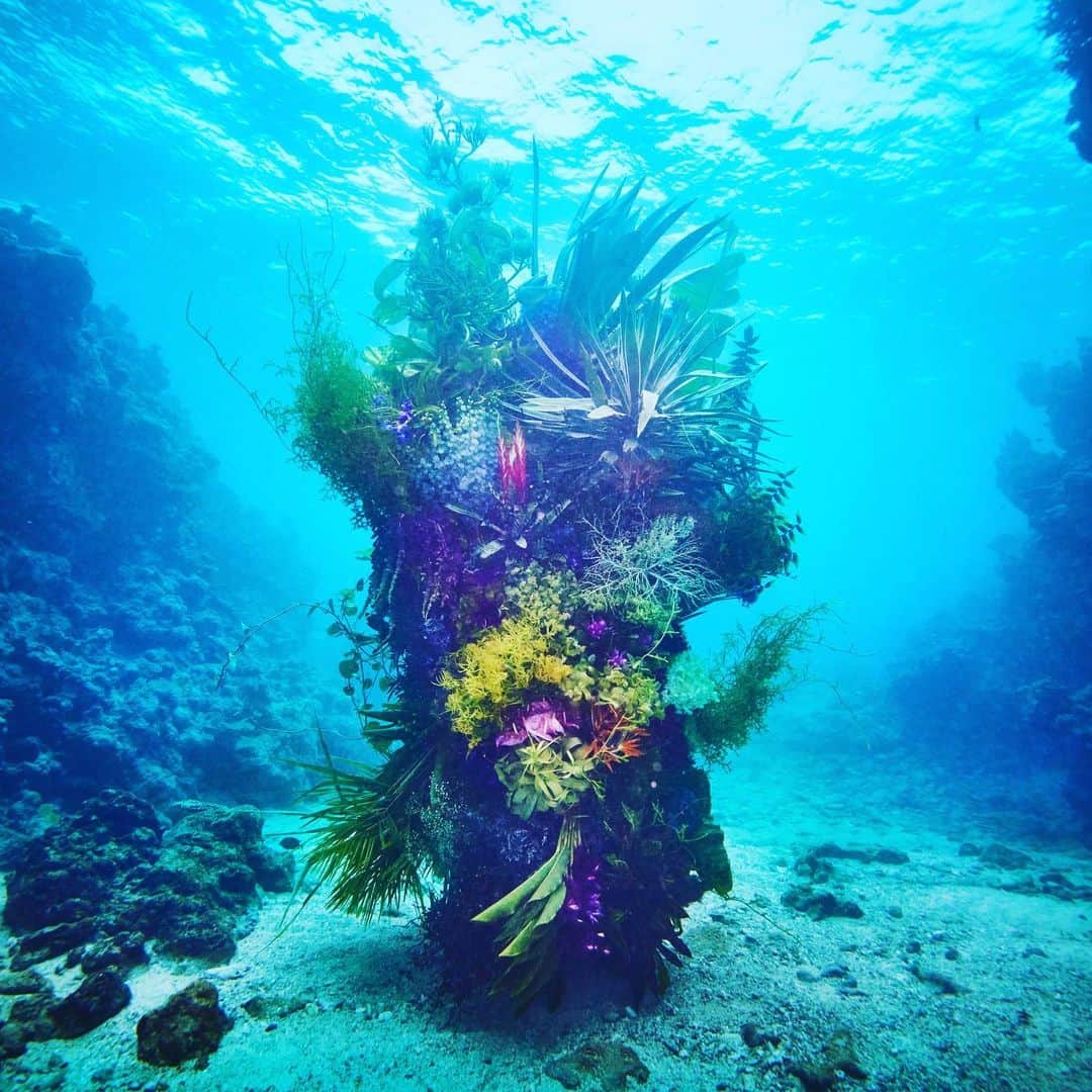 東信のインスタグラム：「Botanical sculpture × In Bloom project - Sea #3  #azumamakoto #shiinokishunsuke #amkk #botanicalsculpture #inbloom  #sea  #flowerart #東信 #東信花樹研究所 #unexpectedscenery」