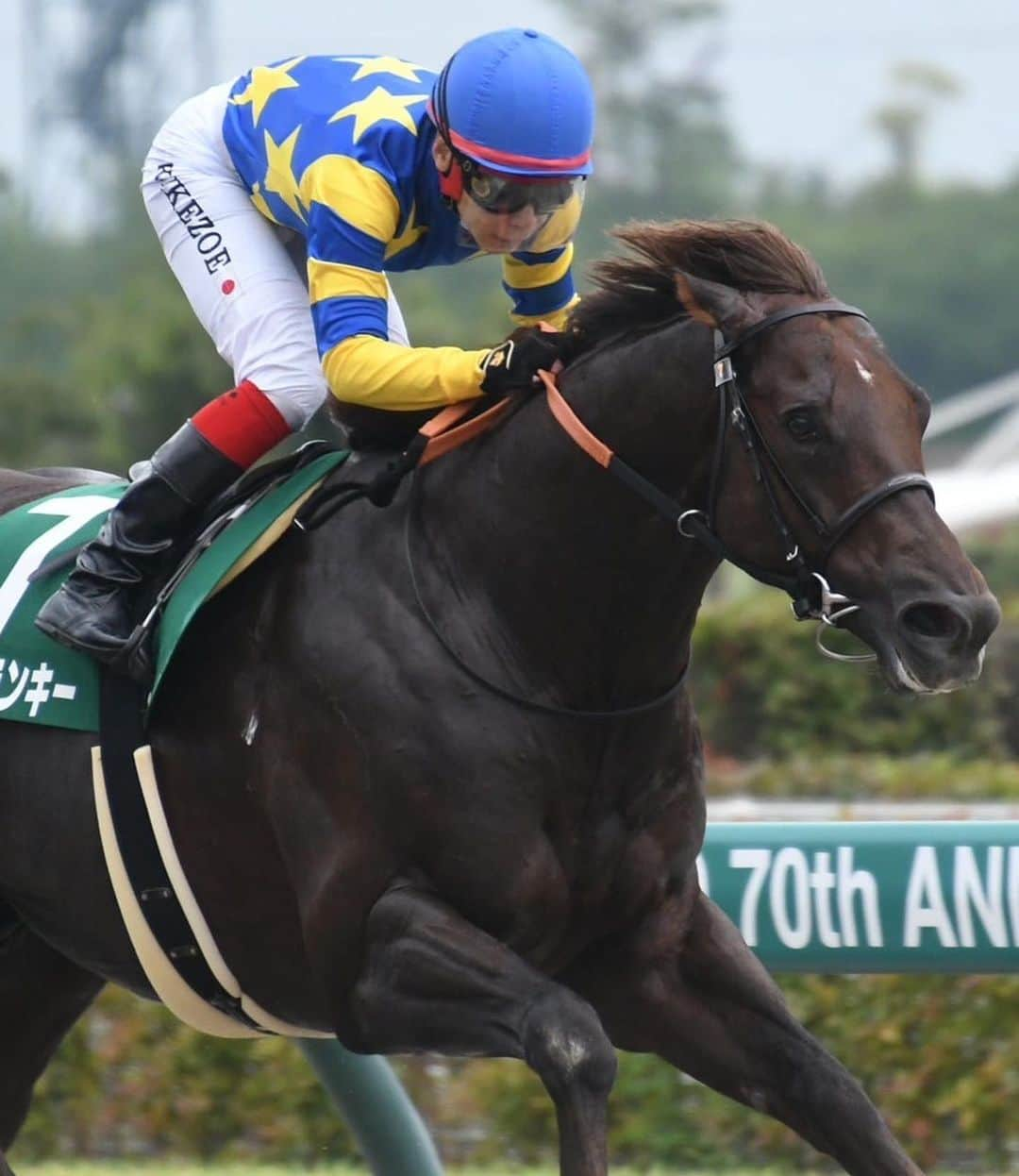 池添謙一さんのインスタグラム写真 - (池添謙一Instagram)「プロキオンSドンフランキーで勝てました🏇 ようやくの今年初重賞💦 ここからまた頑張っていきます‼︎  これからのドンちゃんが楽しみです(^^)  #プロキオンS #重賞最高馬体重 #普通にでかいけどスピードに長けてるし案外器用」7月9日 20時07分 - kenchan.0723