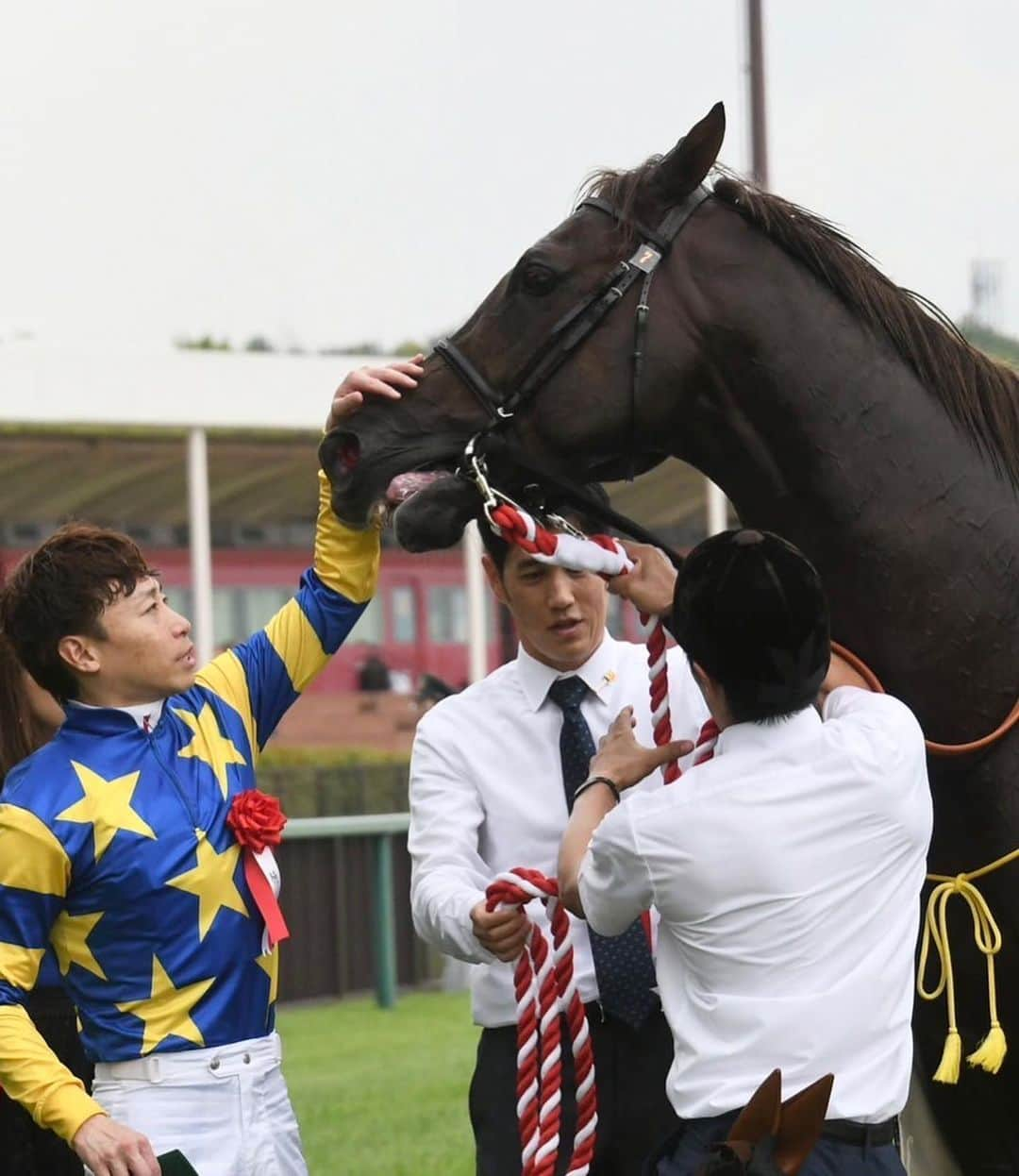 池添謙一さんのインスタグラム写真 - (池添謙一Instagram)「プロキオンSドンフランキーで勝てました🏇 ようやくの今年初重賞💦 ここからまた頑張っていきます‼︎  これからのドンちゃんが楽しみです(^^)  #プロキオンS #重賞最高馬体重 #普通にでかいけどスピードに長けてるし案外器用」7月9日 20時07分 - kenchan.0723