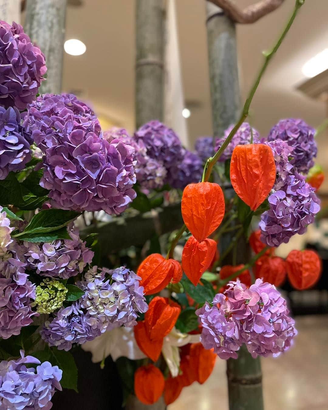ホテルニューオータニ博多さんのインスタグラム写真 - (ホテルニューオータニ博多Instagram)「【ロビー装花】  今週末の博多祇園山笠に向けて、 ロビーには博多っ子のような明るく、 色鮮やかなお花が飾られました❣️  実は、ロビーを飾る全長12メートルの フラスコ画も山笠が描かれています。  ホテルへお越しの際はぜひご覧ください✨  #ホテルロビー #ホテルロビー装花 #博多祇園山笠 #山笠 #山笠があるけん博多たい #フラスコ画 #福岡ホテル #ホテルニューオータニ博多 #ニューオータニ博多」7月9日 20時00分 - newotani_hakata_official
