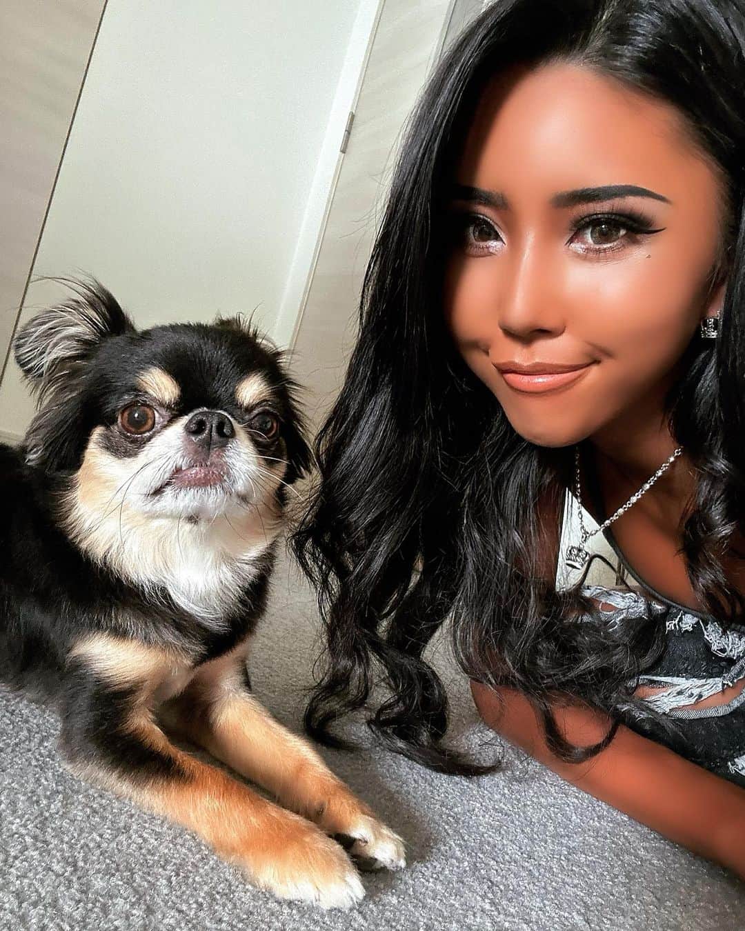 BONGOのインスタグラム：「珍しくしっかりカメラ目線🐶」