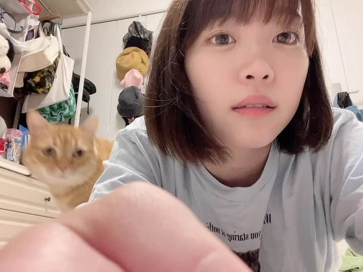 架乃ゆらのインスタグラム：「撮るの絶対邪魔するマン😾」