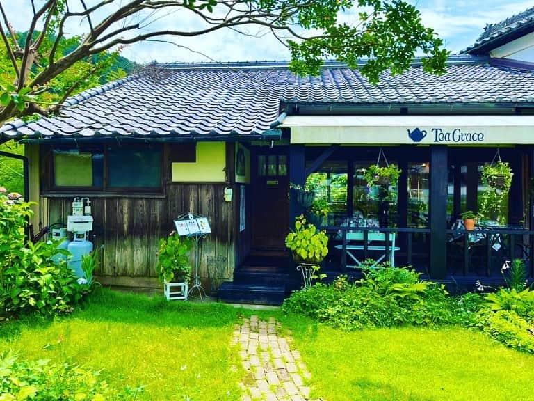 金子三勇士のインスタグラム：「Visiting Tea Grace Cafe  in Kimino Town, Wakayama. #和歌山県 #紀美野町 #カフェ #ティーグレイス  #公開収録 #ピアニスト #金子三勇士 #ティータイム #KiminoTown #Wakayama #Japan #TeaGraceCafe #Cafe #pianist #MiyujiKaneko #ontour」