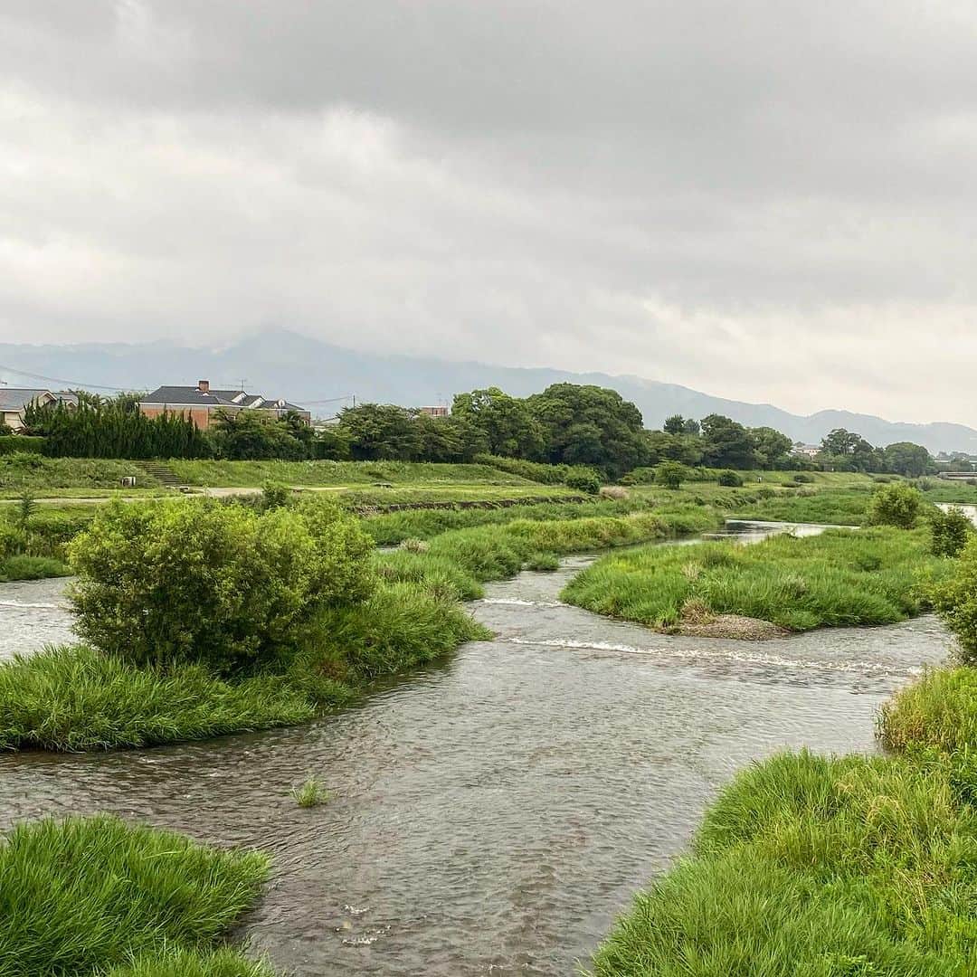 一保堂茶舗のインスタグラム：「It was cloudy today here in Kyoto. The Kamo river with lush greenery.   鴨川の豊かな緑が映える１日でした。  #kamoriver #ippodotea #ippodo #一保堂　#一保堂茶舗　#鴨川　#kyoto」