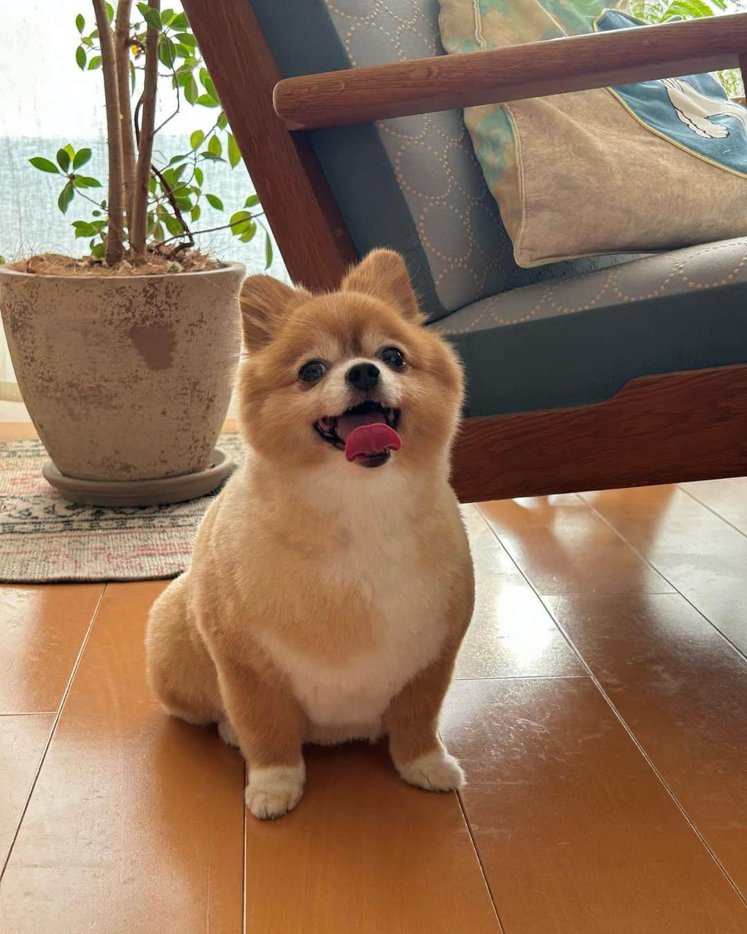 村田倫子のインスタグラム