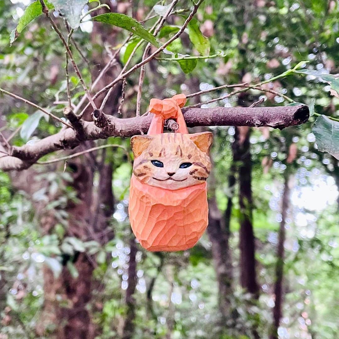 花房さくらさんのインスタグラム写真 - (花房さくらInstagram)「われら森の精霊です。 なんちゃって！  正しくは『ねこ包み』です。  (それは何じゃい？！と思われた方はSO-TA official storeをご覧ください)  #ねこ包み  #cat #sculpture #hanafusasakura」7月9日 21時34分 - sakura_hanafusa