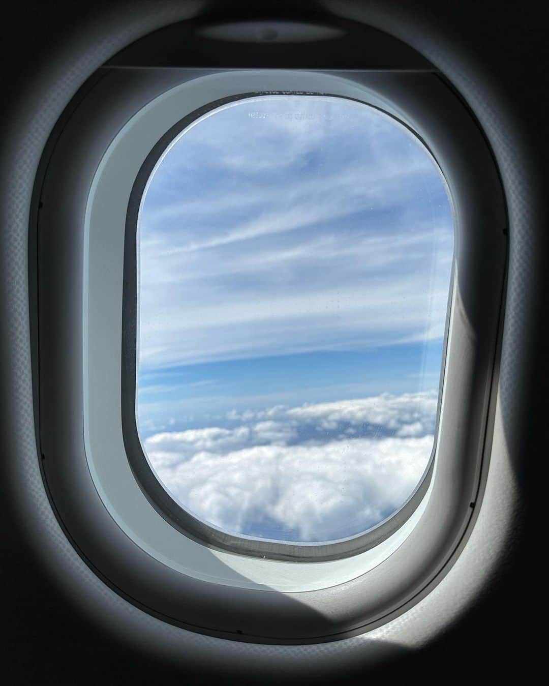 左近鈴乃さんのインスタグラム写真 - (左近鈴乃Instagram)「. 今回のハワイ旅行はビジネスクラスを取ってくれたので とっても快適に過ごせた😭✈️✨ 初ビジネス。贅沢な経験をありがとう😢♡  最後に出てきた ガーリックライスとメンチカツが1番好きだったな🧄🍴 搭乗してすぐのシャンパンも幸せ🥂  #ハワイ #ハワイ旅行  #ハワイアン航空 #ビジネスクラス」7月9日 21時53分 - suzuno_sakon