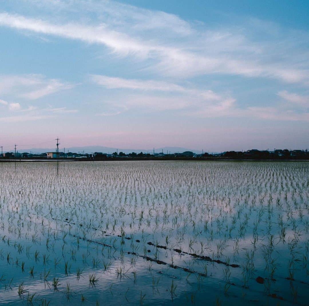 柳川藩主立花邸御花 | Yanagawa Ohanaさんのインスタグラム写真 - (柳川藩主立花邸御花 | Yanagawa OhanaInstagram)「⁡ 夕暮れが美しい夏の柳川。 ⁡ 水鏡の田んぼや有明海から眺めたり、 夕暮れの街を散策したり。 ⁡ そして、なんといっても御花の文化財から眺める夕暮れが美しいです。 ⁡ 泊まってみて、ゆっくりと柳川に佇んで、初めてわかる魅力もあります。 ⁡ #柳川藩主立花邸御花 #御花#柳川#ohana #yanagawa #fukuoka #夕日#夕暮れ#福岡夕日 #夏旅行#福岡旅館 #柳川旅行#夕暮れ #福岡旅行#福岡絶景 #九州絶景」7月9日 21時57分 - tachibanateiohana