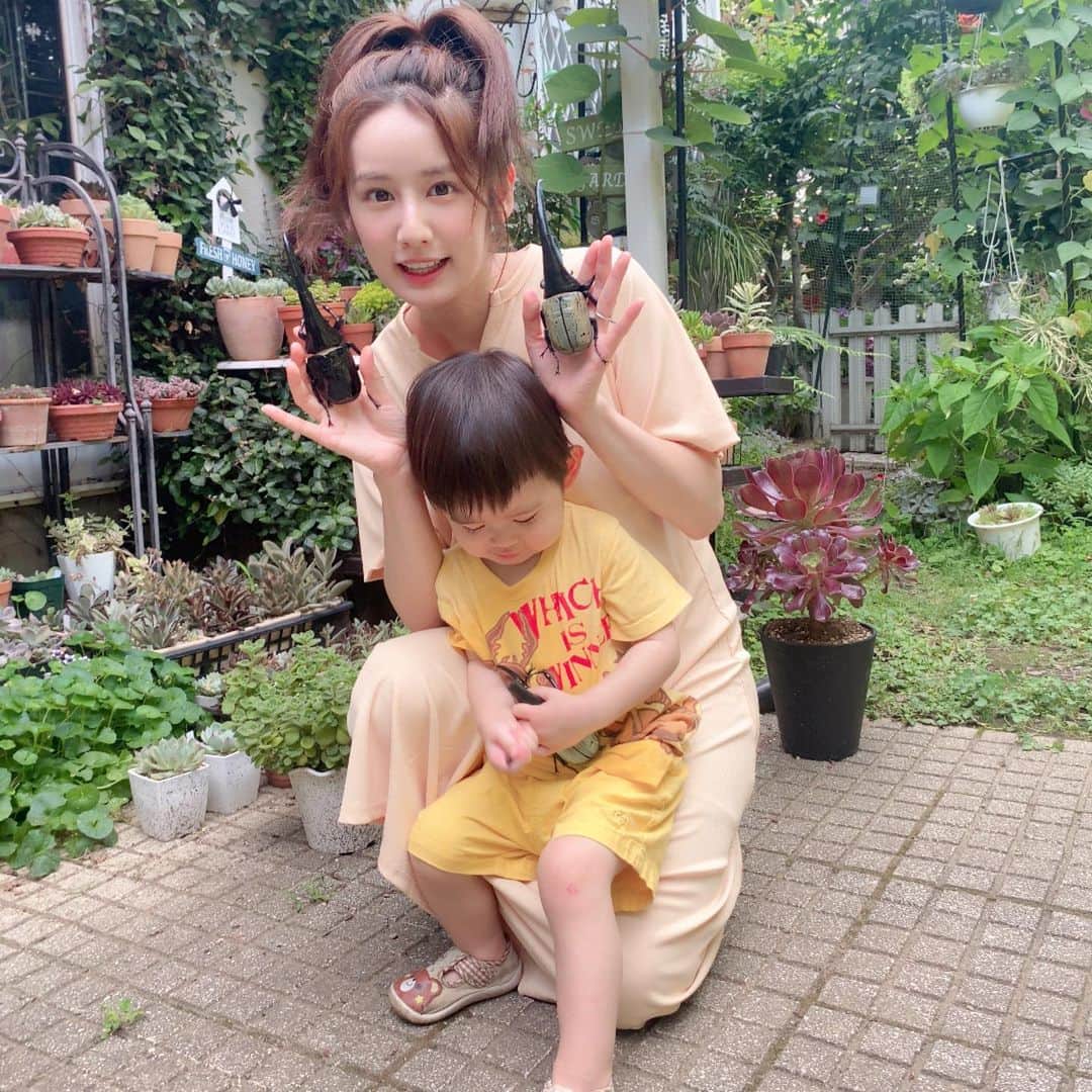 カブトムシゆかりのインスタグラム：「. 虫の季節をエンジョイしすぎています🐝🐛🐜🪲 . ひとりで楽しむより、お子と一緒だと５倍くらい楽しい🥳 . これは500円ガチャのヘラクレスオオカブトです！ . 細かいところまで再現されているし、脚のパーツも取れにくくて、もちろん親が目を離さない範囲ですが子供もがっつり遊べる🥰 . 夜な夜な関東の生き物系イベント検索してます🔍 . . . #1歳11ヶ月 #男児育児 #虫好き #親の趣味 #ヘラクレスオオカブト #500円ガチャ #ガチャガチャ」
